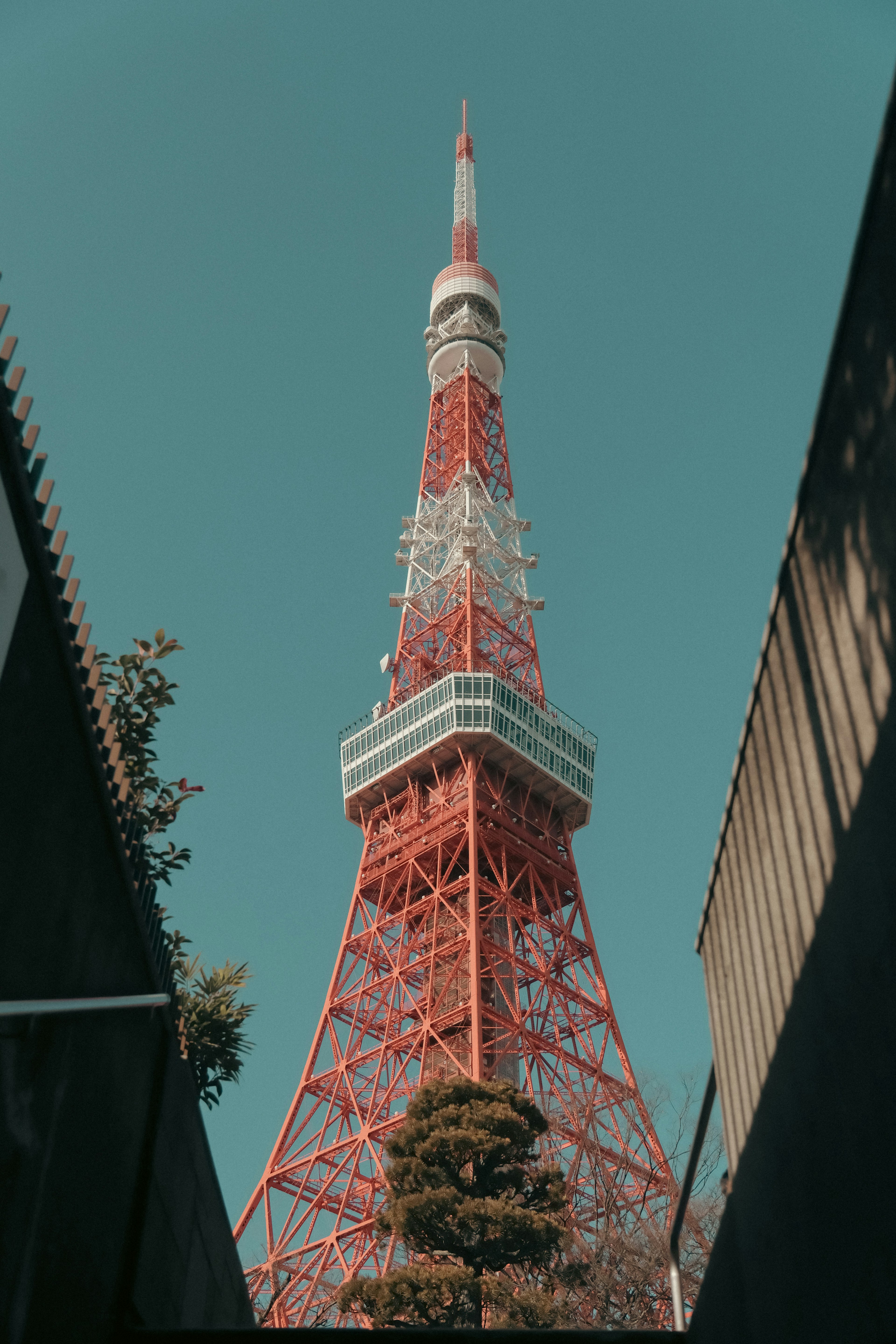 Tokyo Tower's tall structure visible under a blue sky