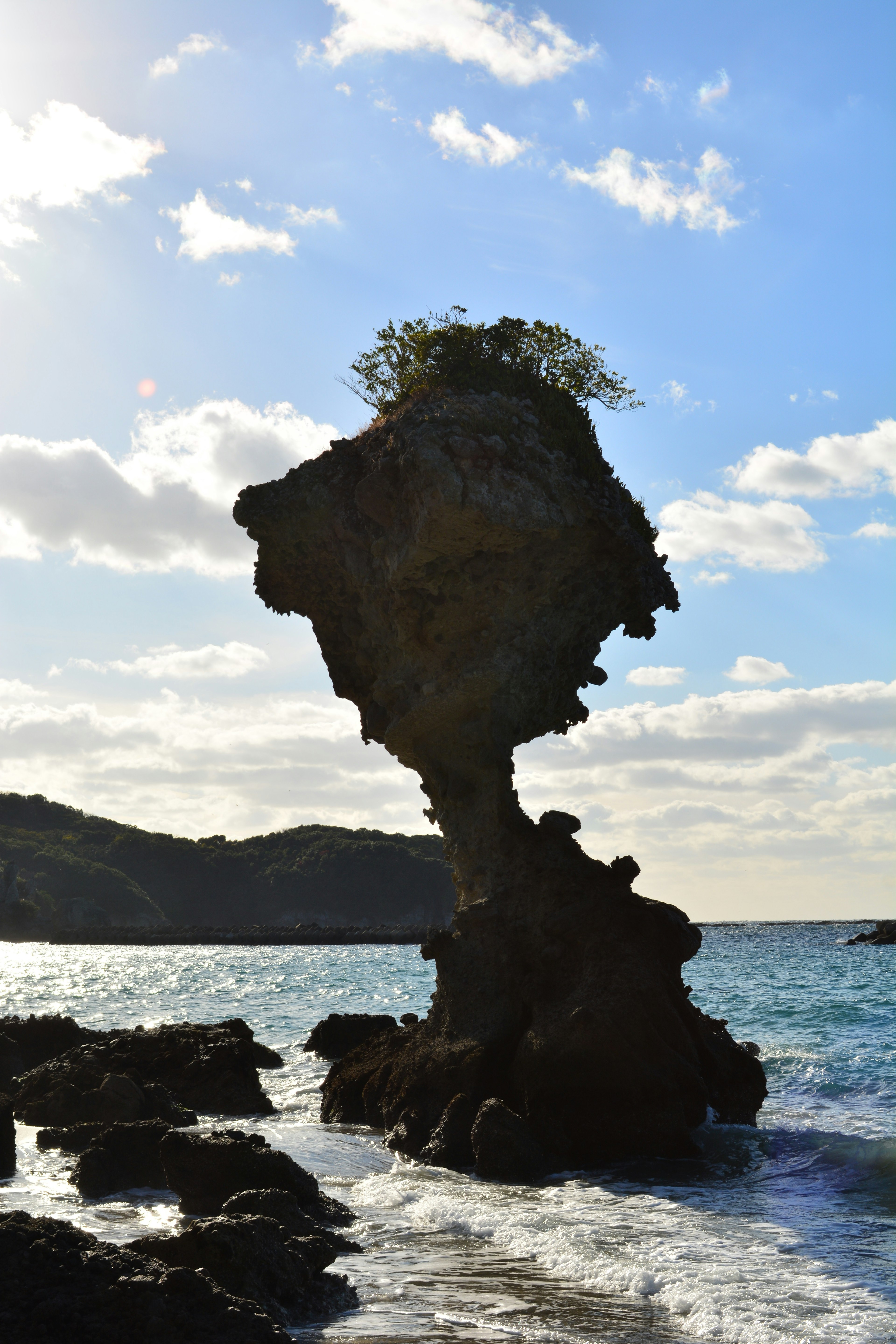 Einzigartige Felsformation, die im Meer steht, mit einem kleinen Baum oben drauf