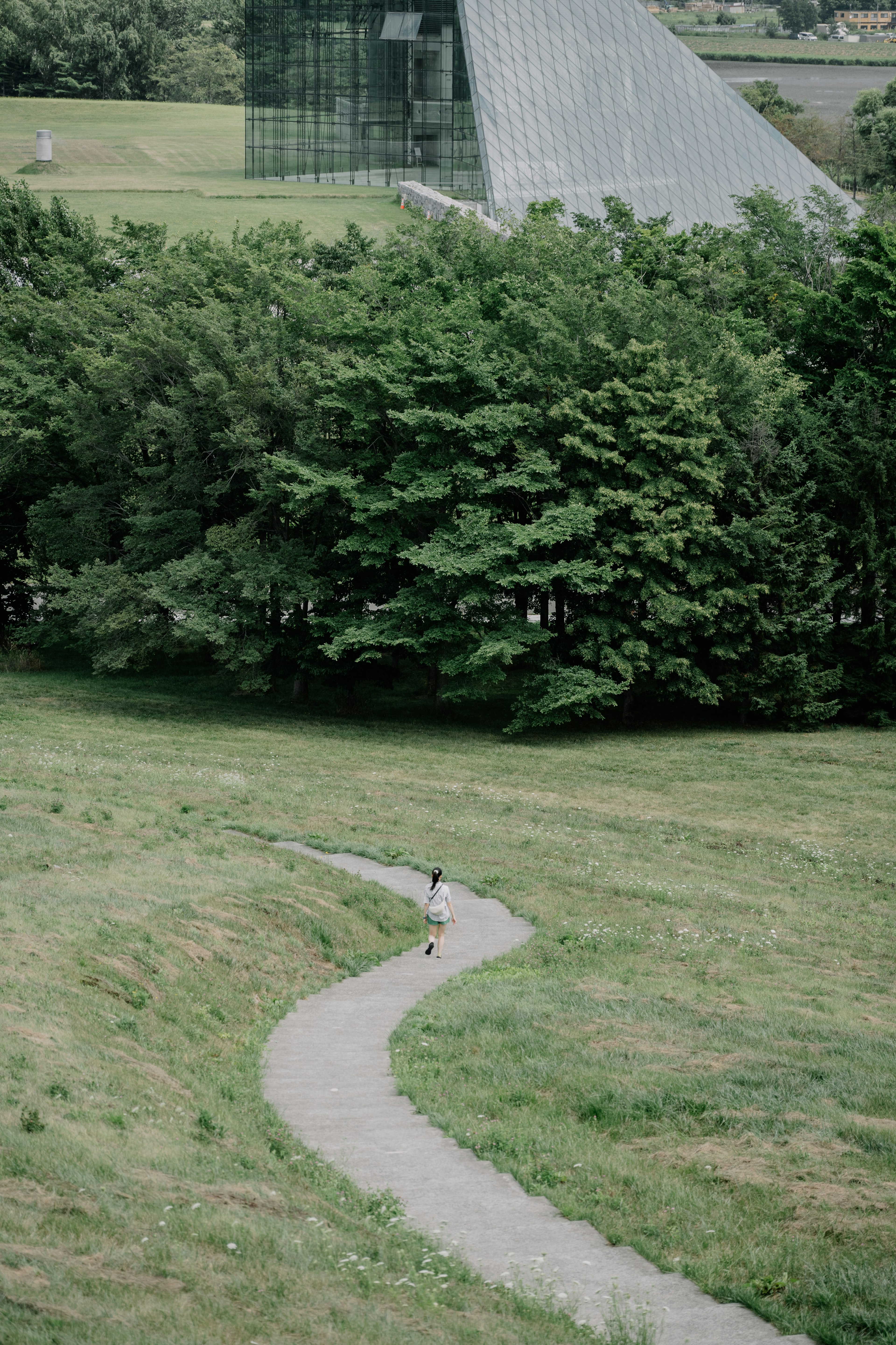 A person walking along a winding path in a lush green landscape