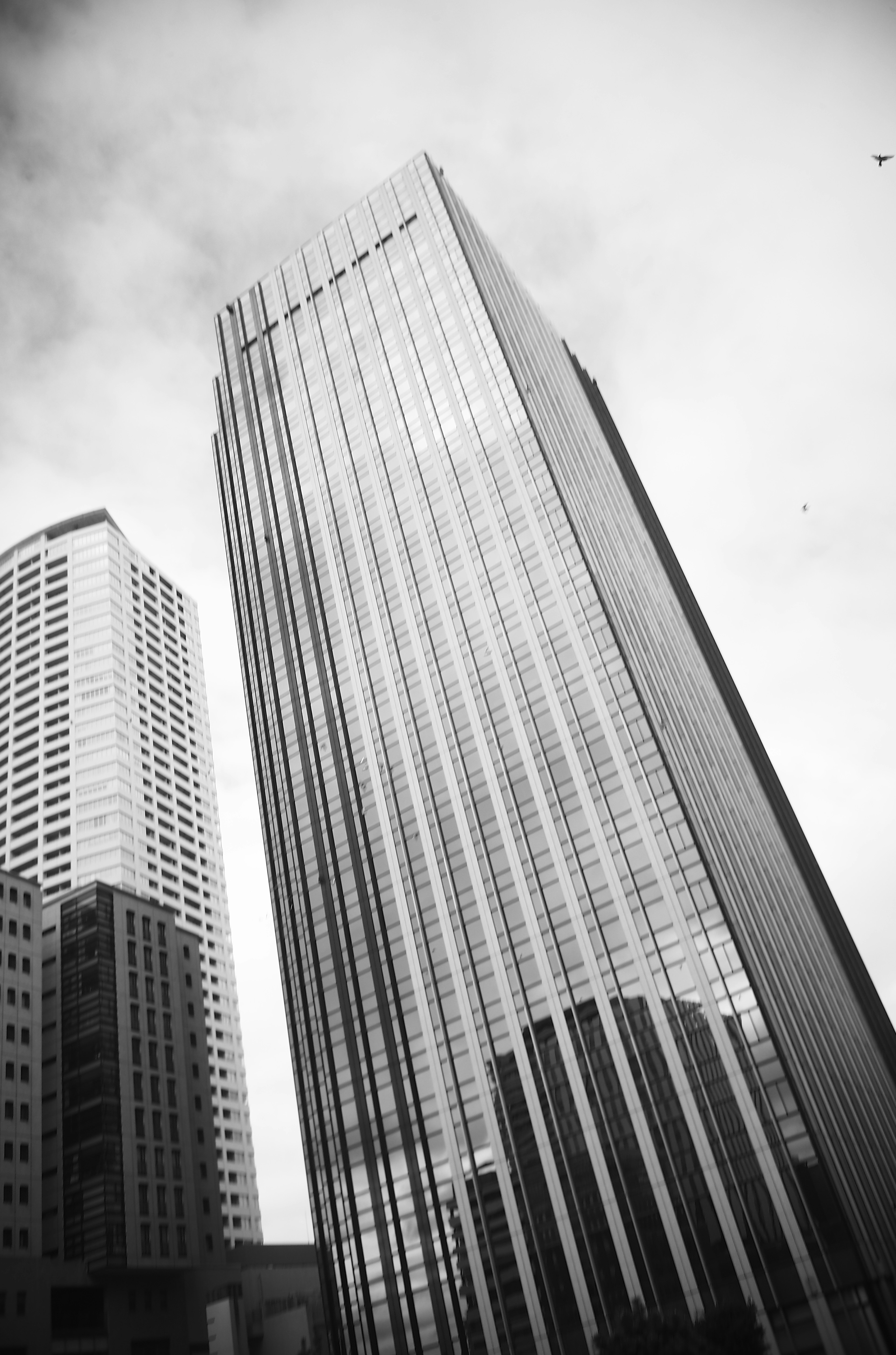 High-rise building with a black and white cityscape