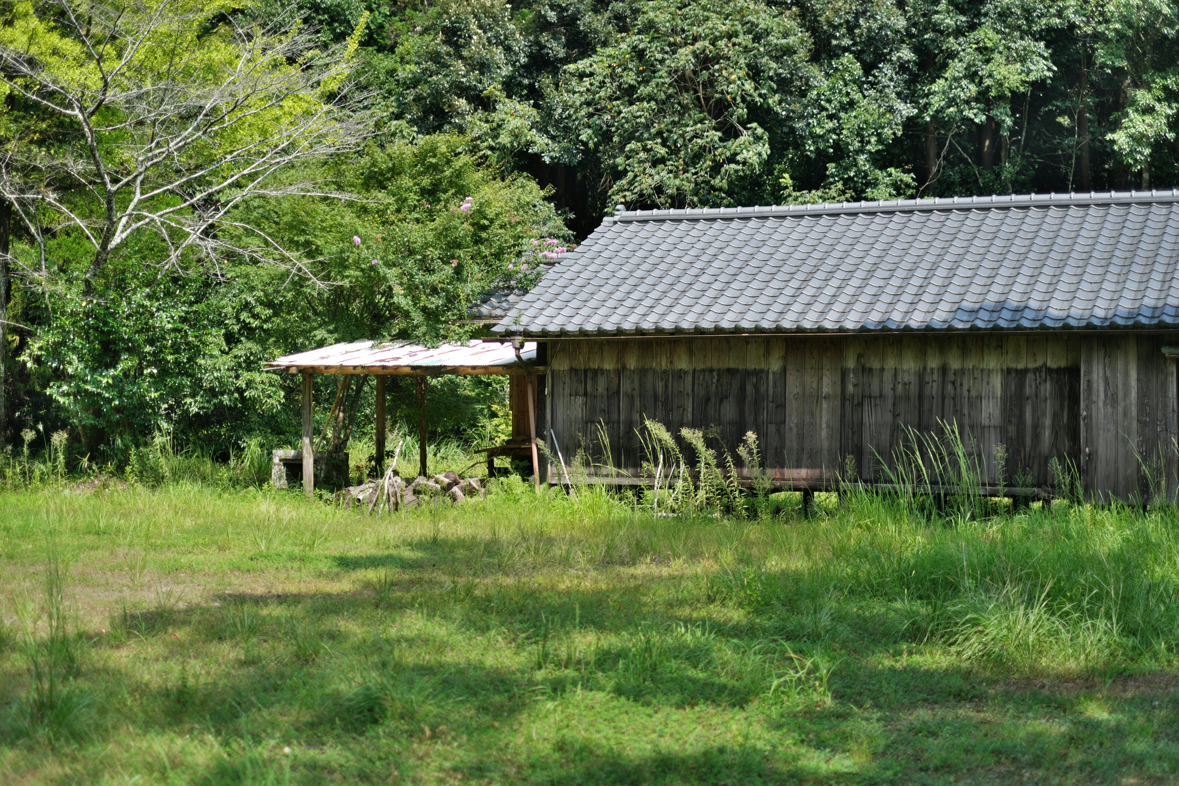 Cabaña de madera rodeada de vegetación exuberante y hierba