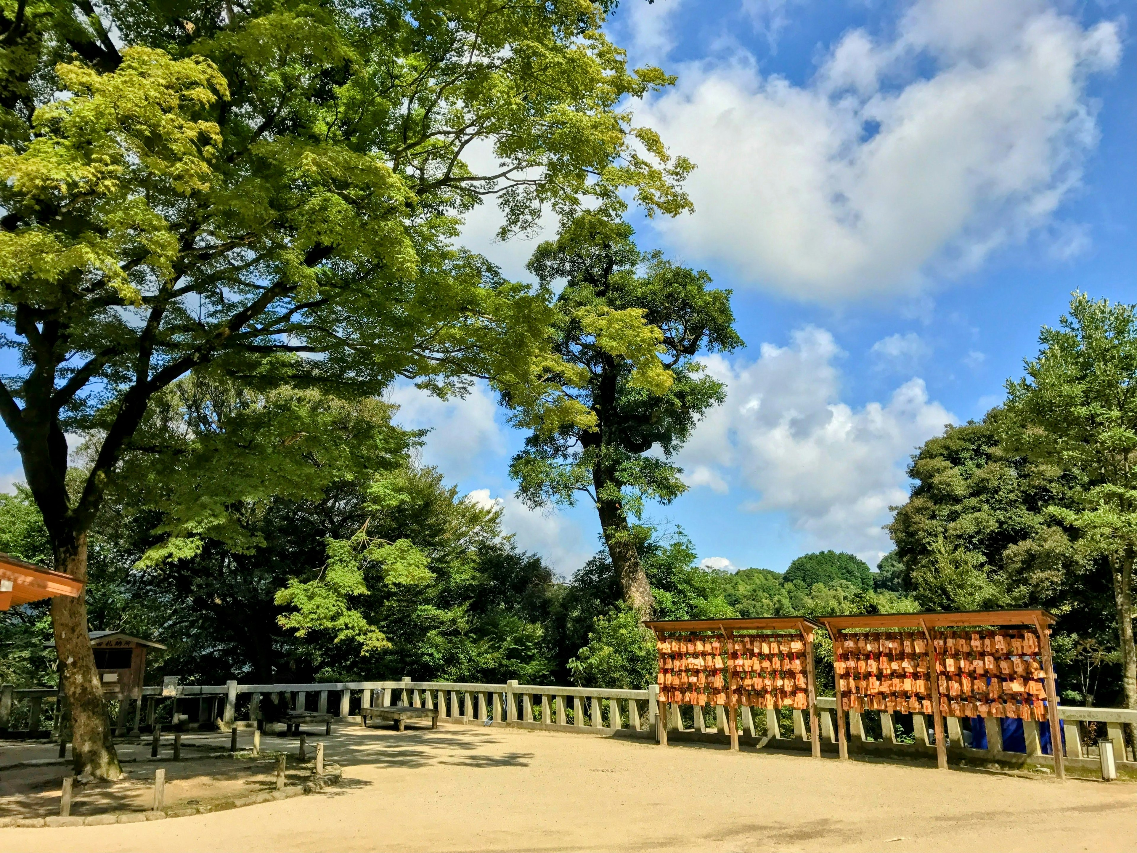 緑豊かな木々と青空の風景 駐車場の看板が見える