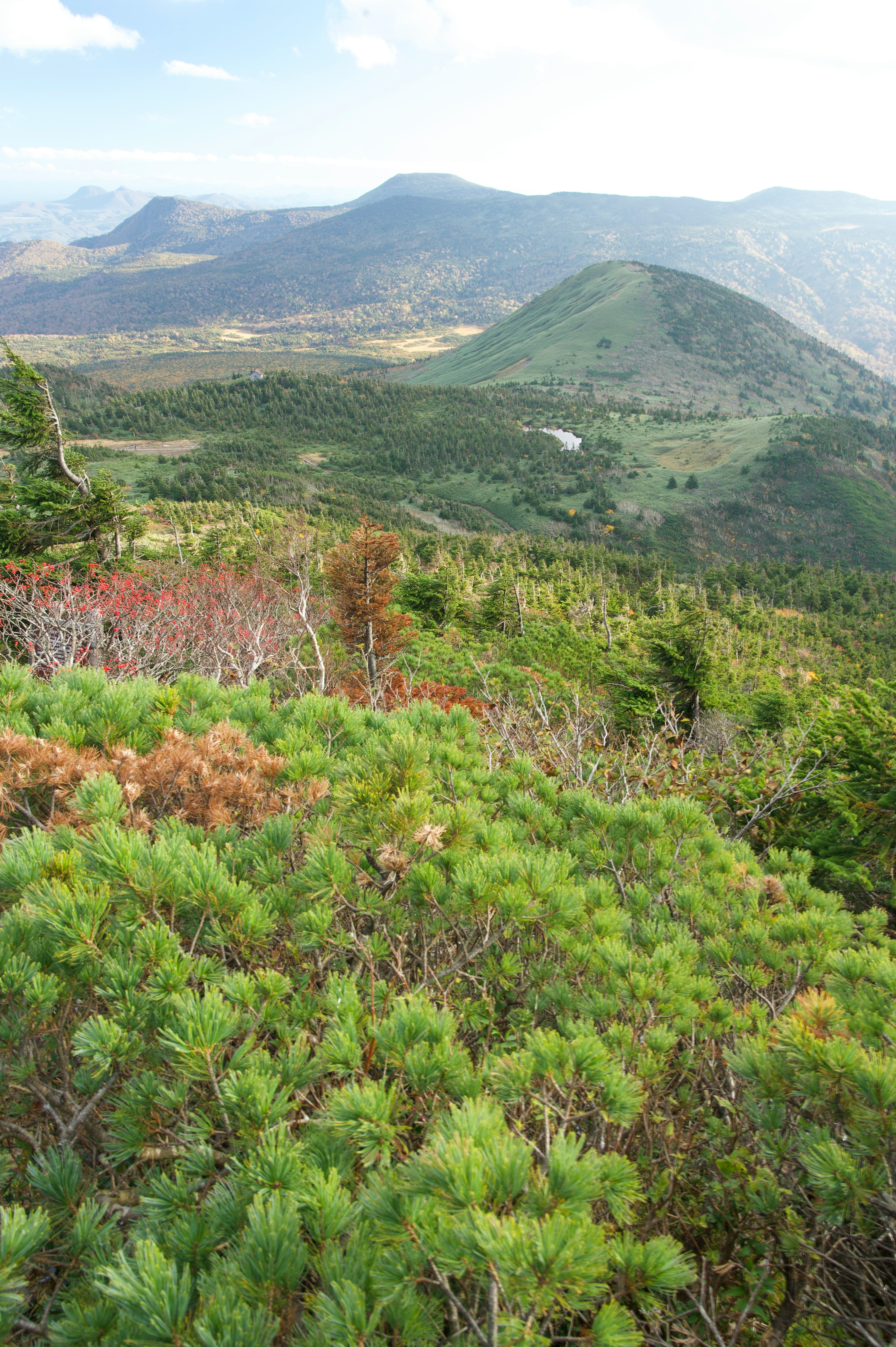 緑豊かな山の風景と遠くの丘