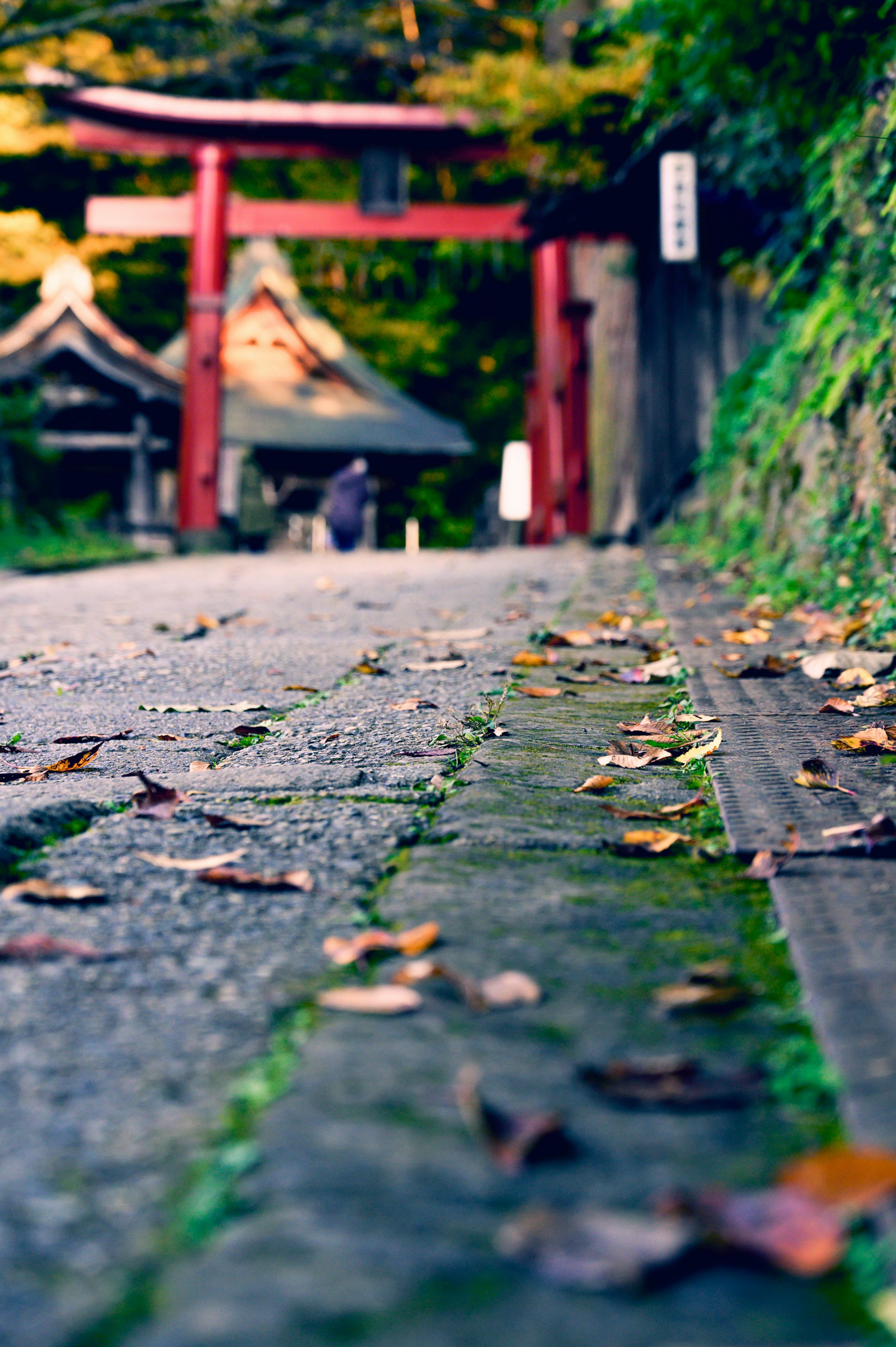 石畳の道と落ち葉がある神社の赤い鳥居の風景