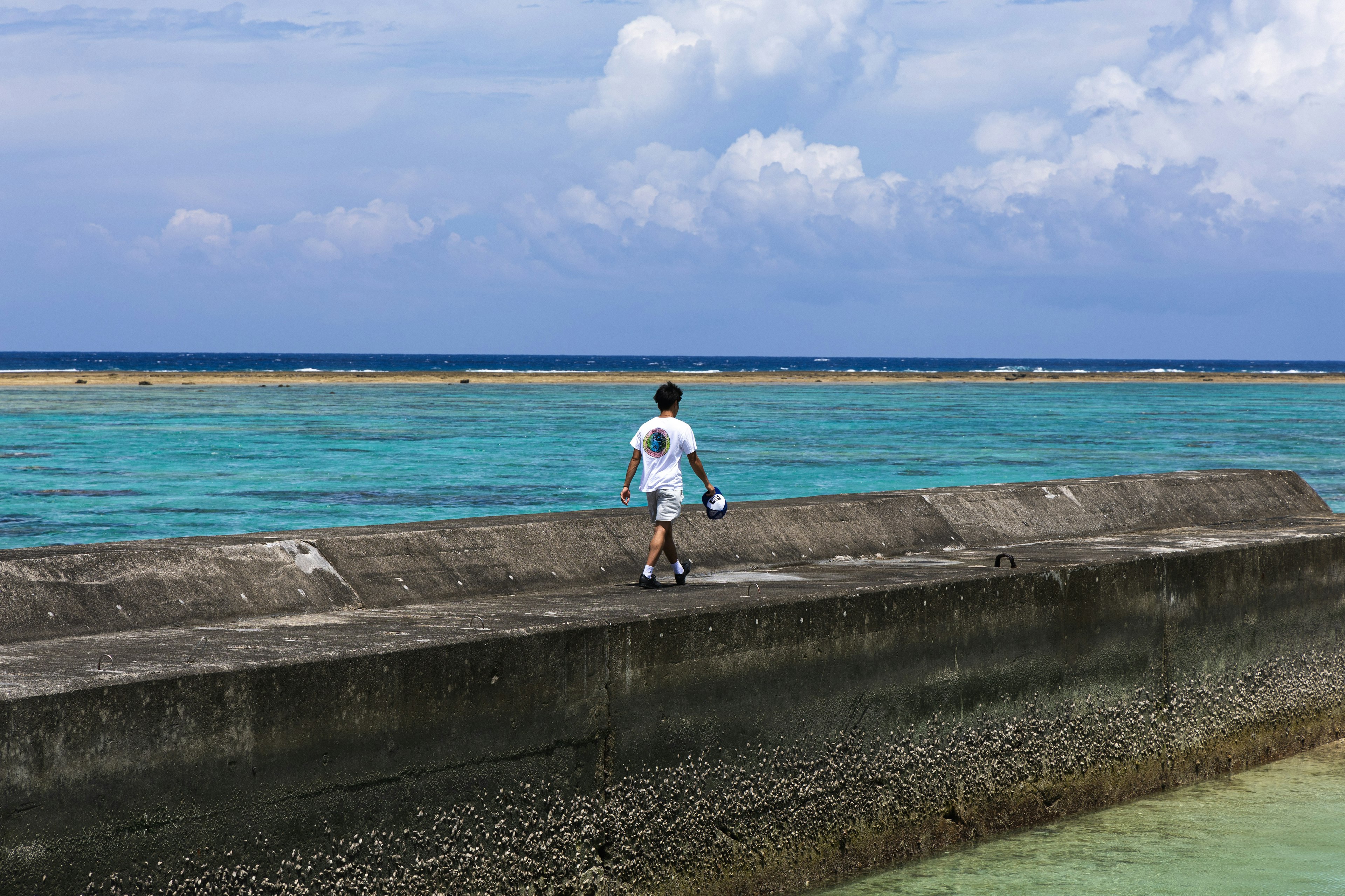 Un niño caminando sobre un muro de concreto junto al mar azul