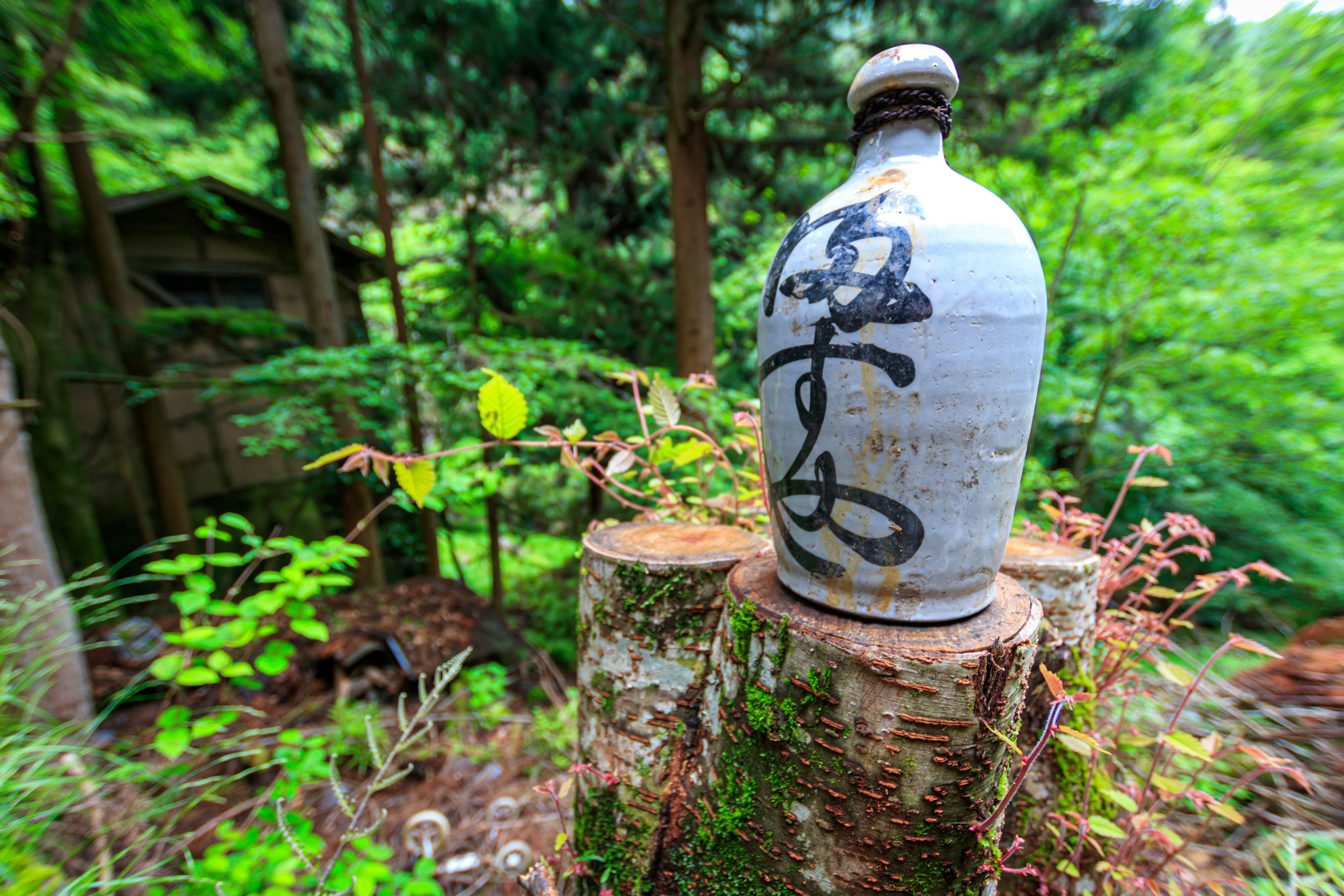 Bouteille en céramique japonaise sur une souche d'arbre entourée de verdure luxuriante