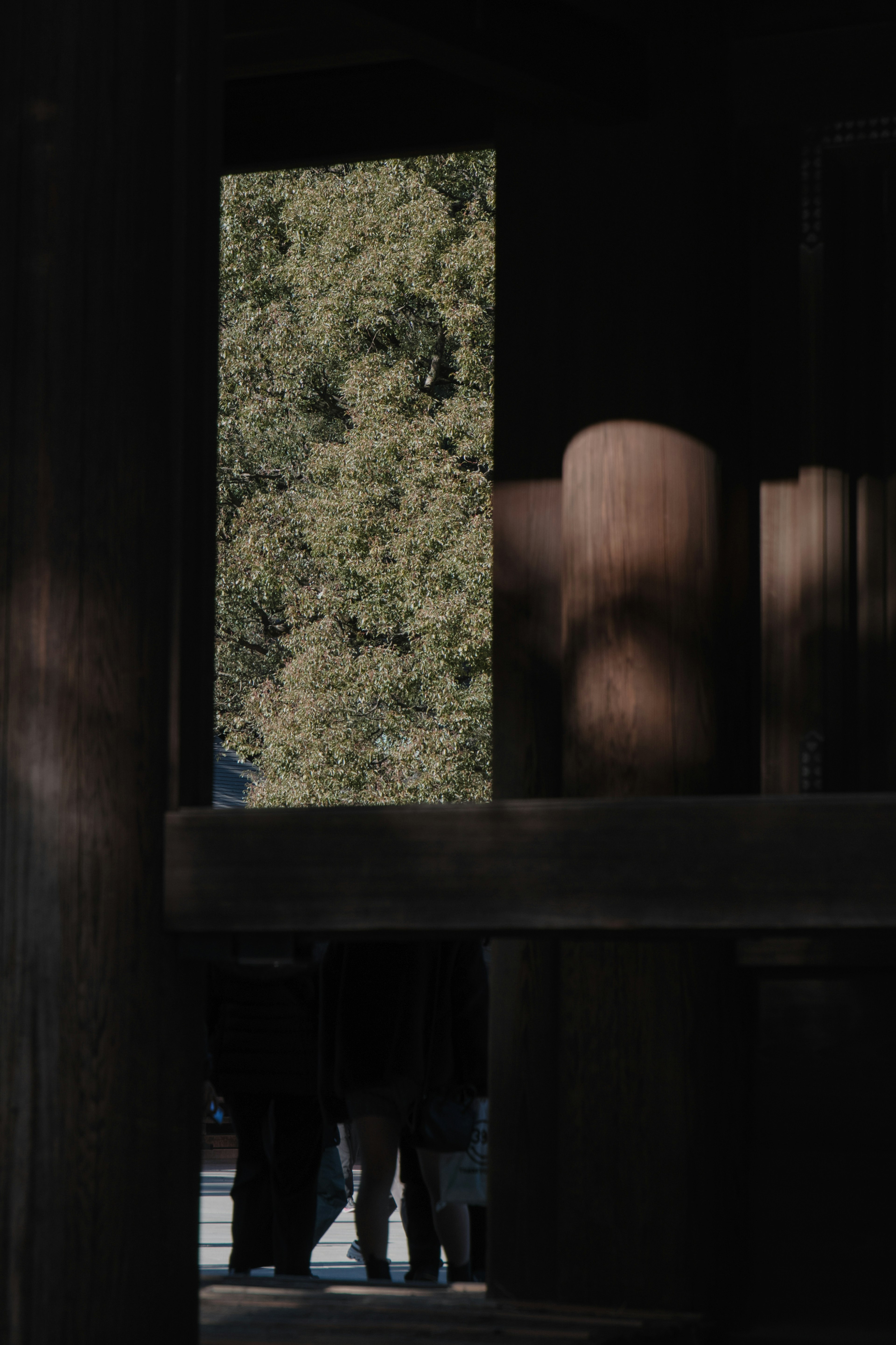 Silhouettes of people framed by wooden pillars with a green landscape in the background