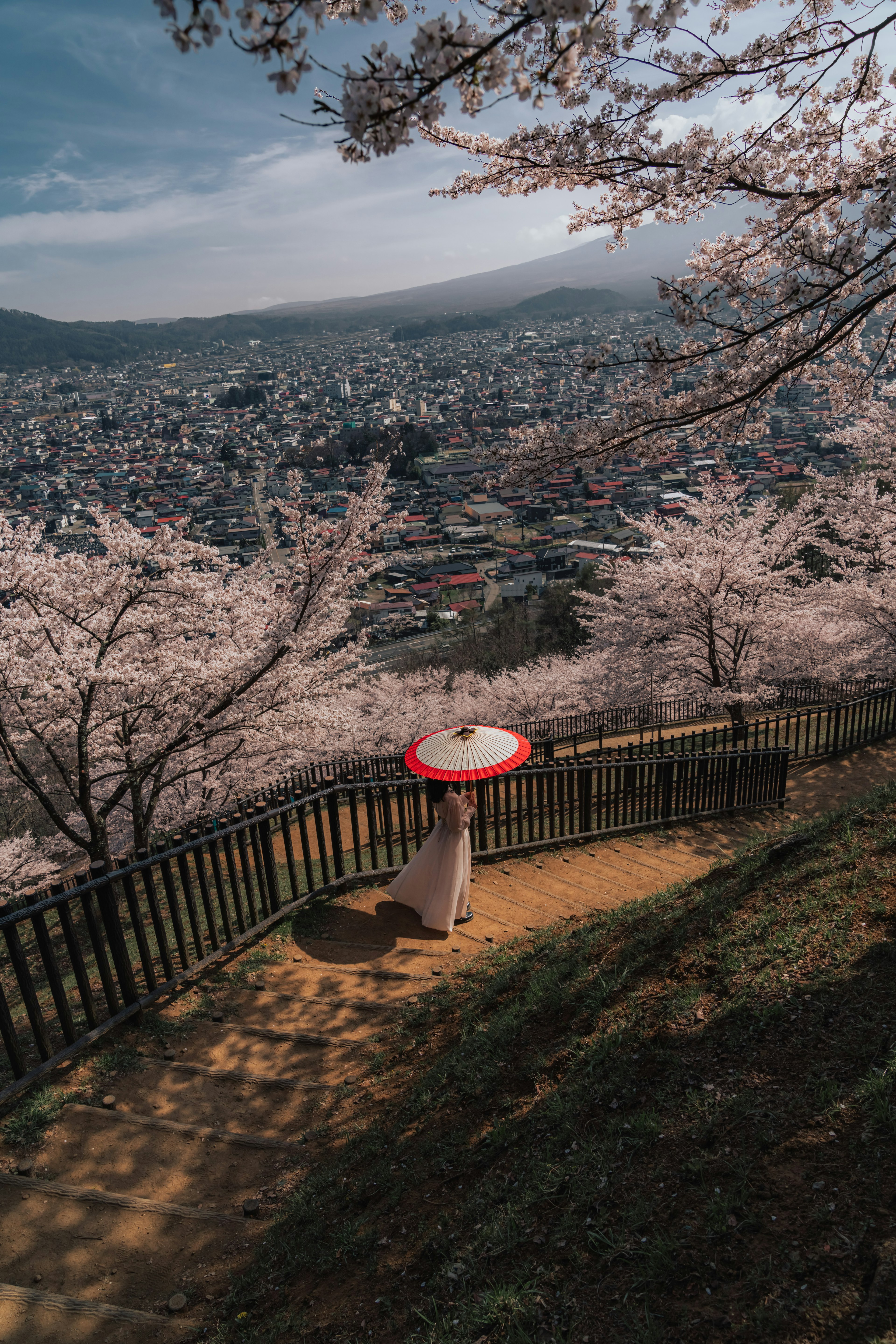 桜の木の下で赤い傘を持つ女性が立っている風景と背景には都市が広がっている