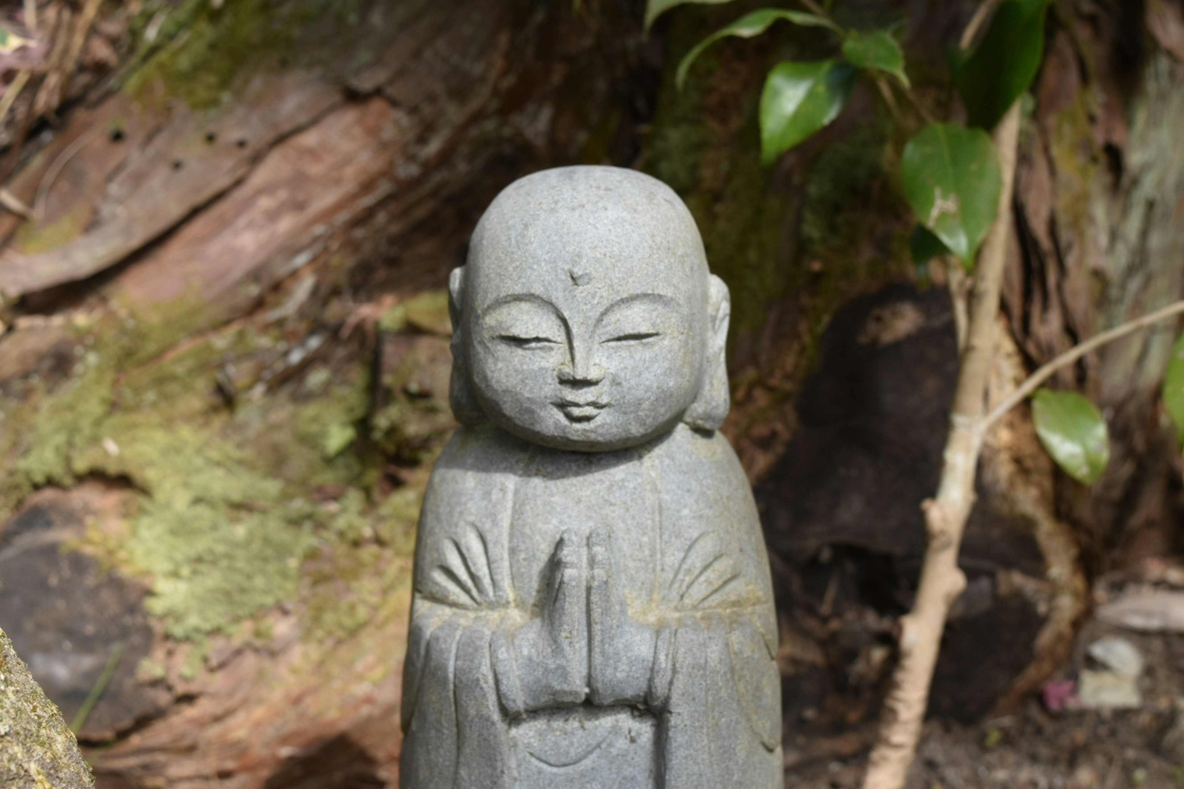 A small statue of a Buddha in a praying pose surrounded by greenery and tree bark