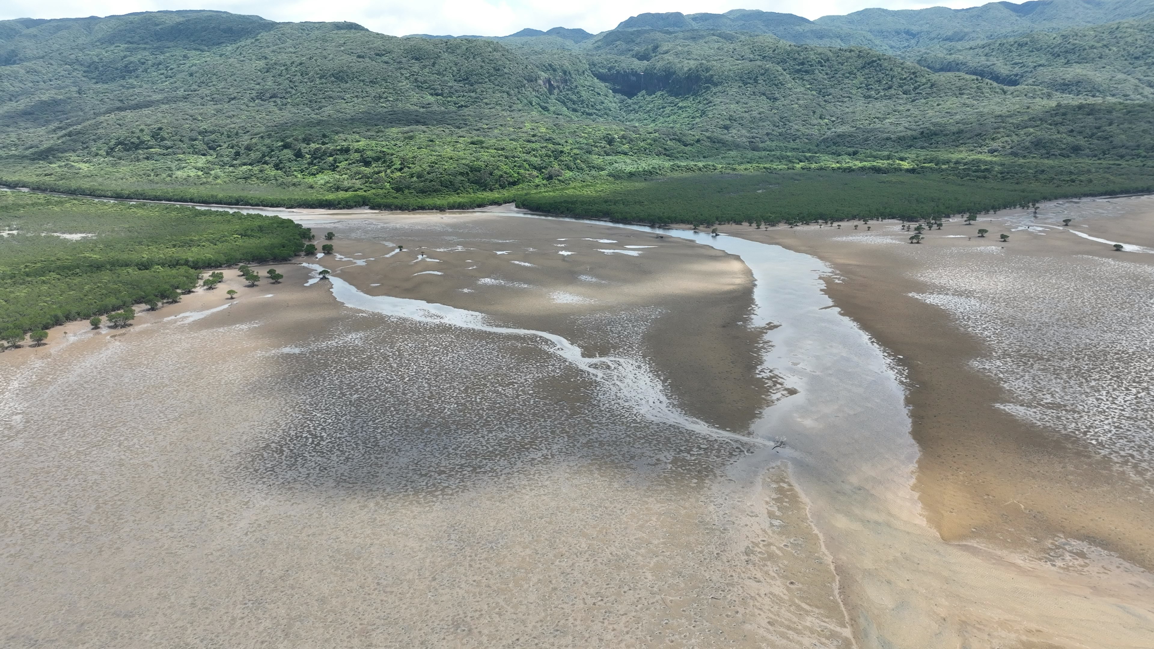 Aerial view of a coastal wetland with sandy areas and lush greenery