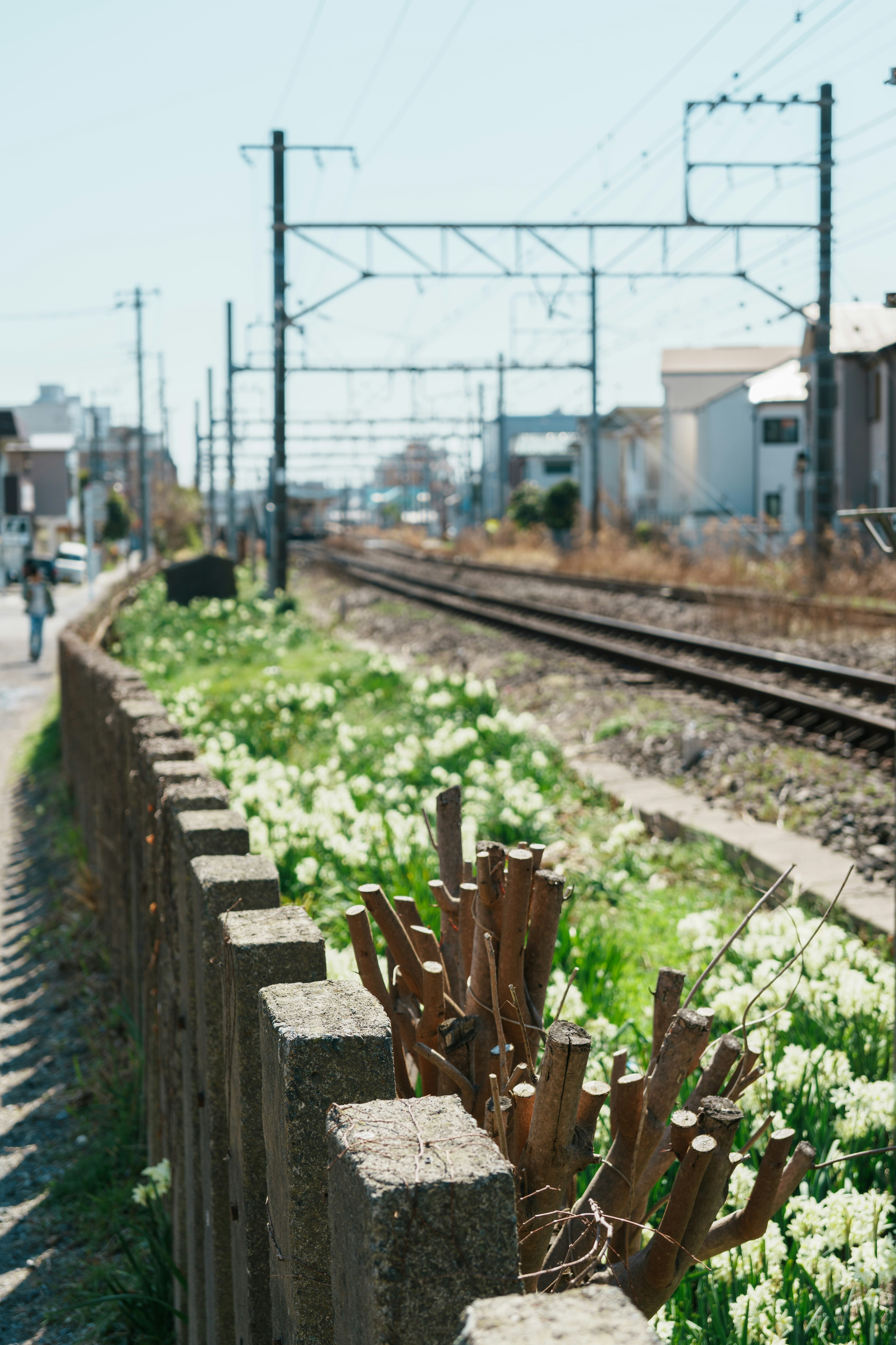 Vista escénica de plantas en flor a lo largo de las vías del tren y una cerca de concreto