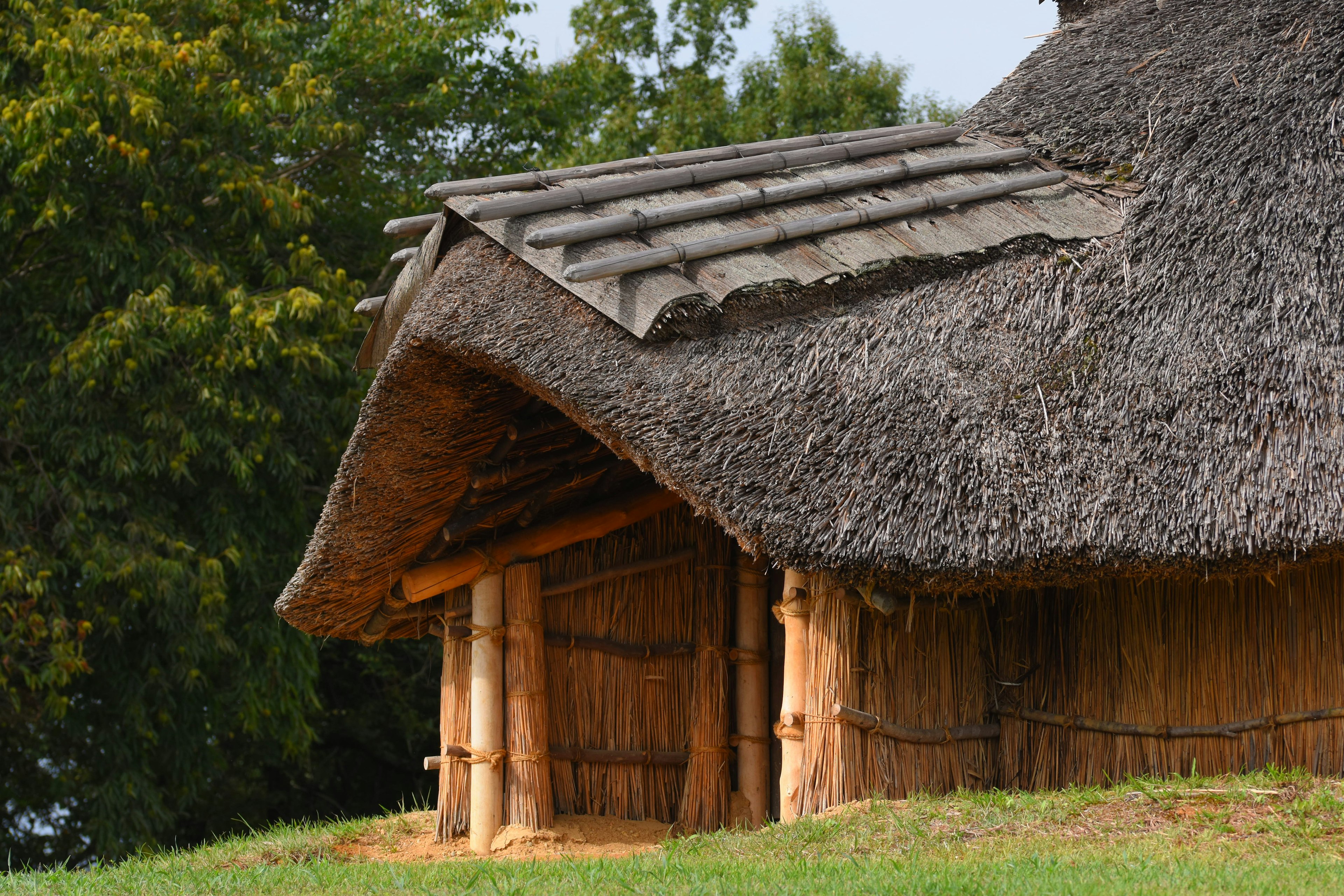 Vue latérale d'une maison à toit de chaume sur une colline verte