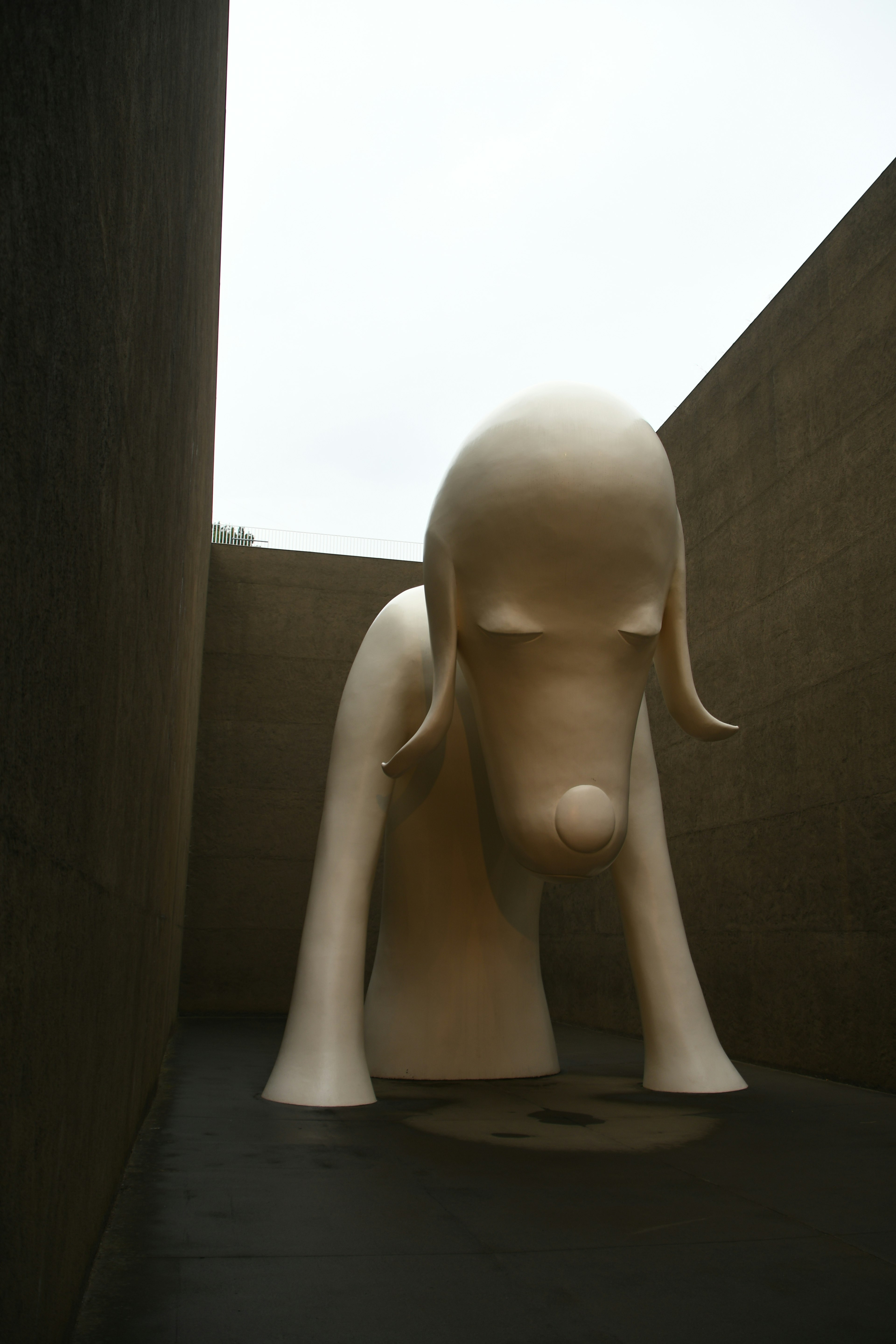 Une grande sculpture de chien placée dans un couloir étroit