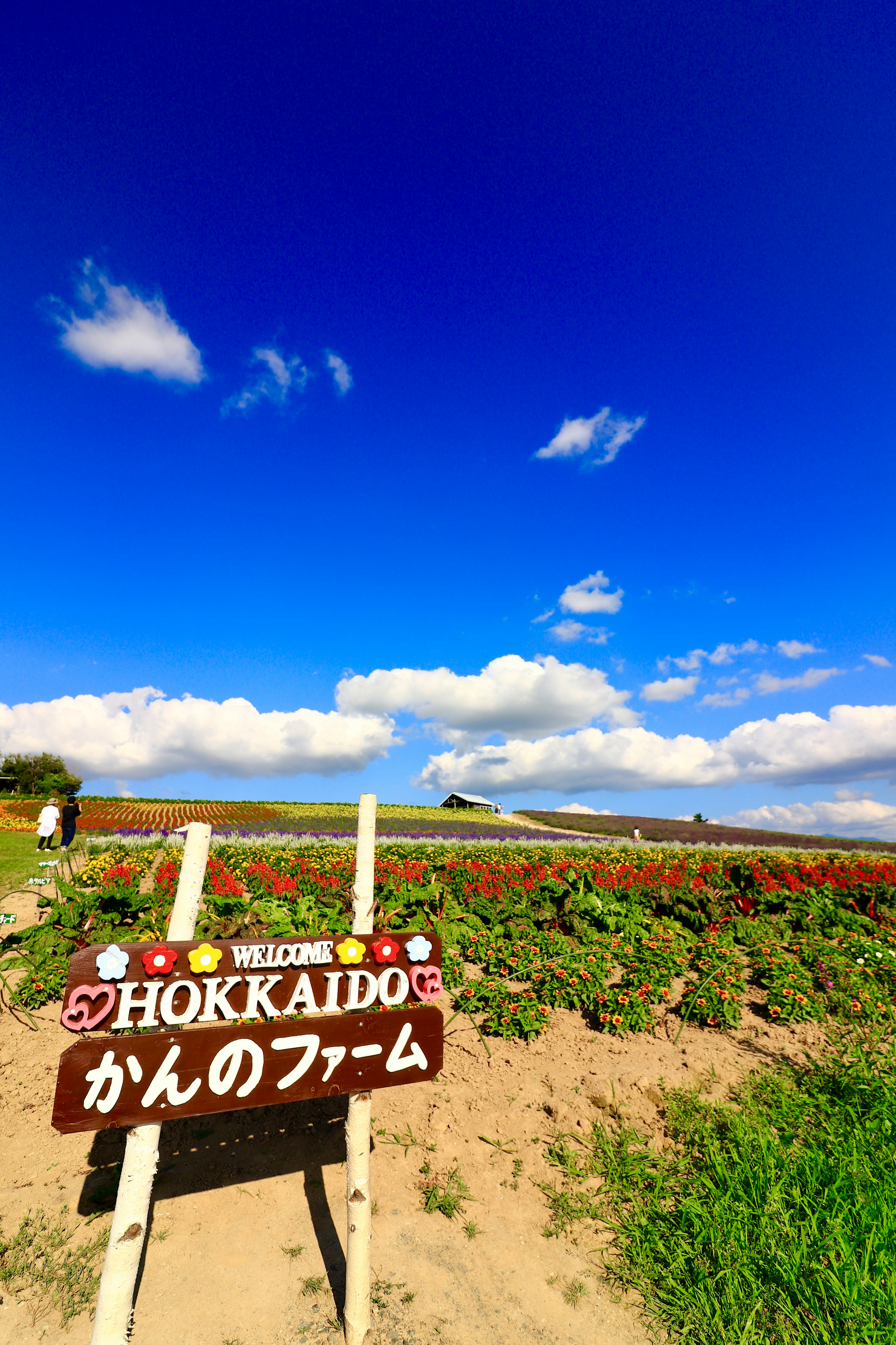 青空の下にある北海道のファームの看板