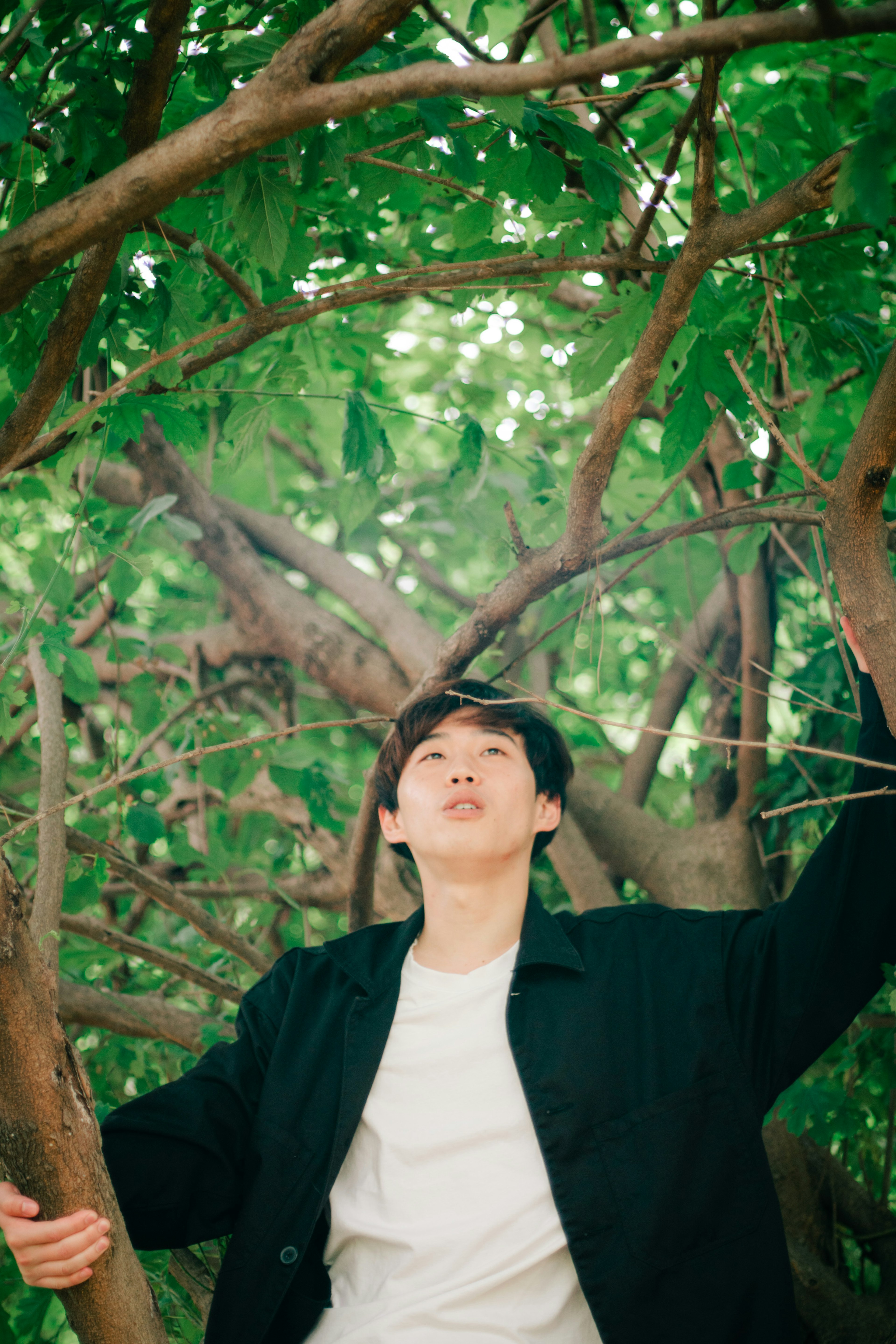 Young man standing among green leaves in a tree