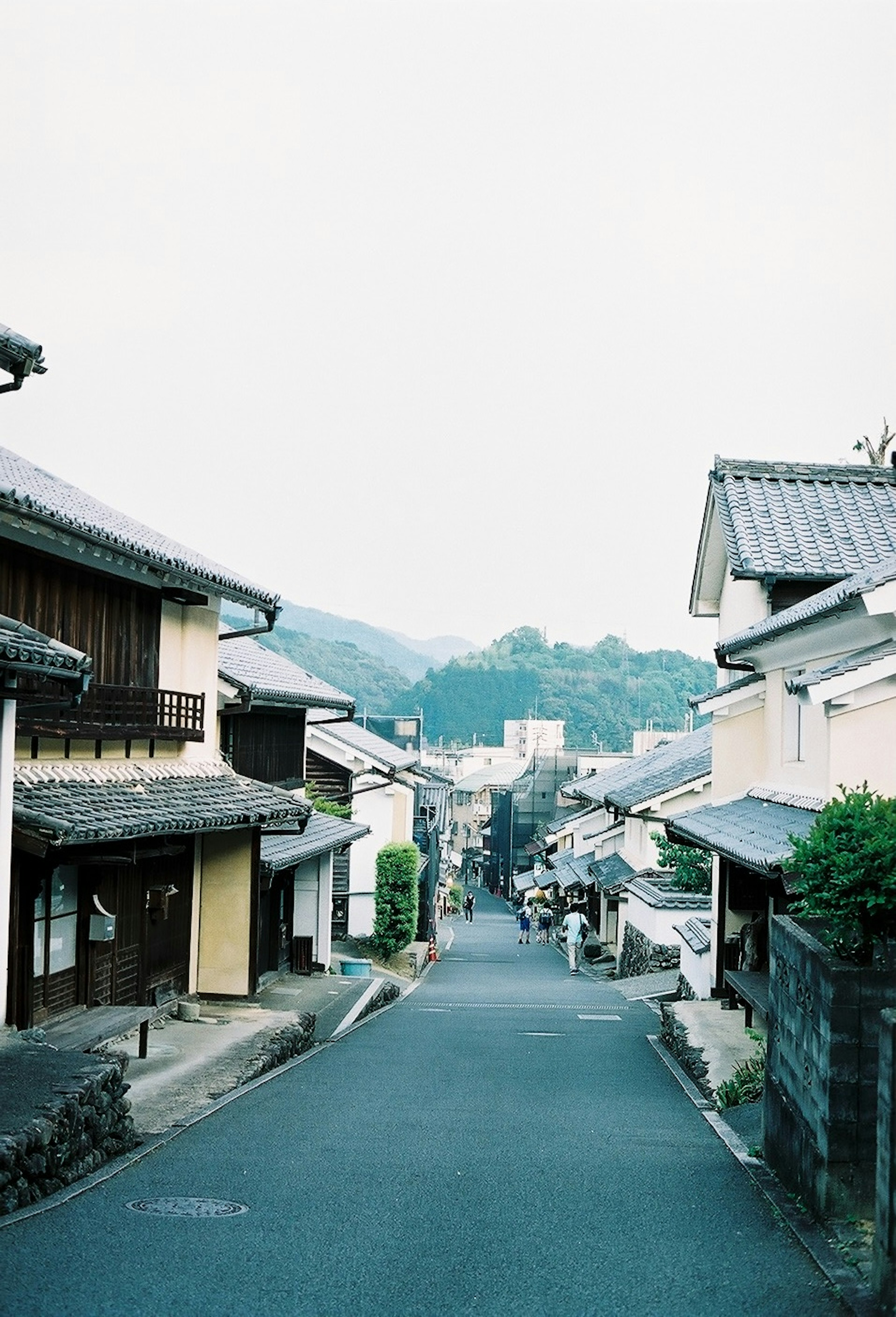 静かな日本の街並みが見える穏やかな通り