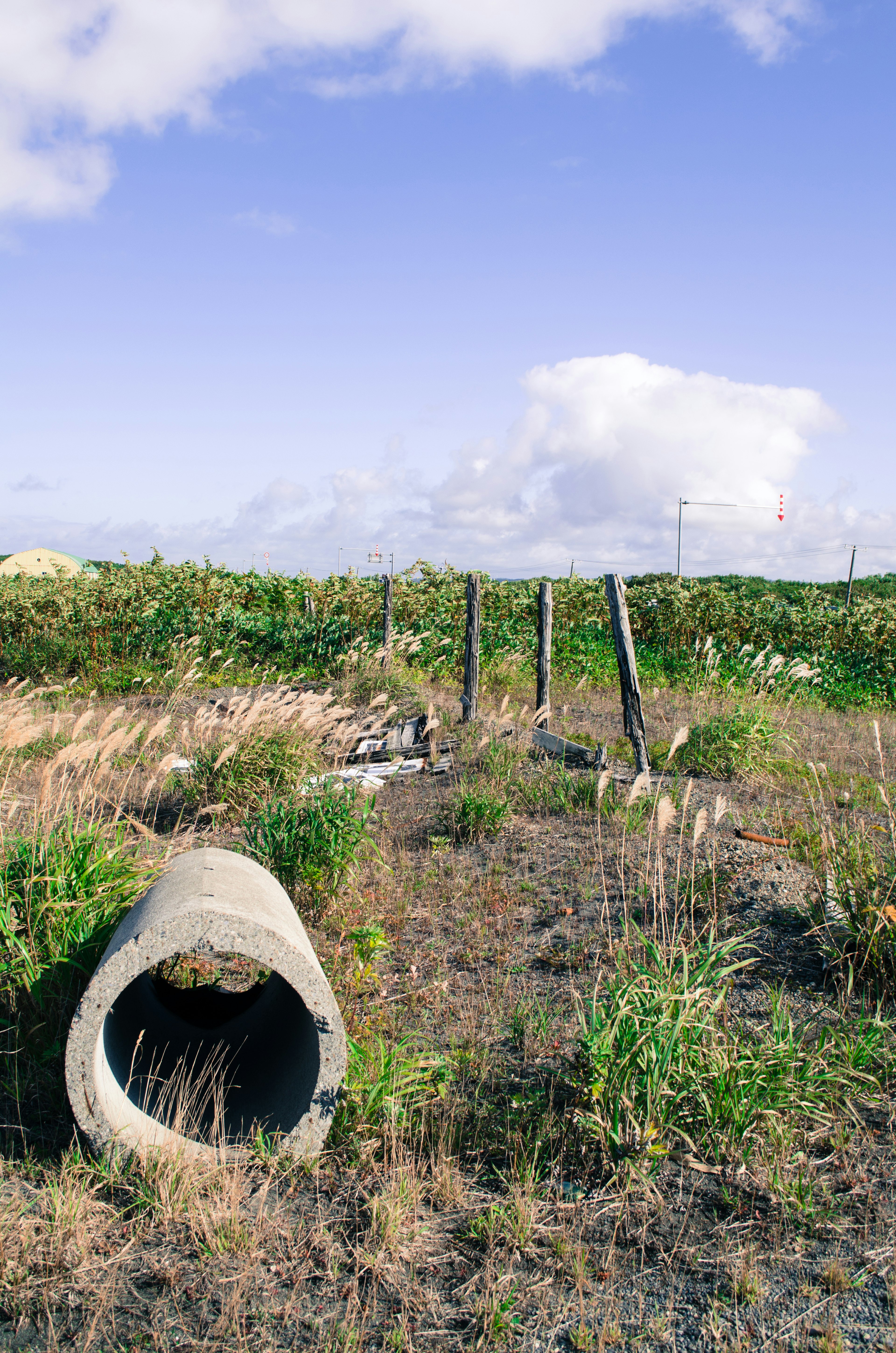 Concrete pipe in a grassy landscape with blue sky and clouds