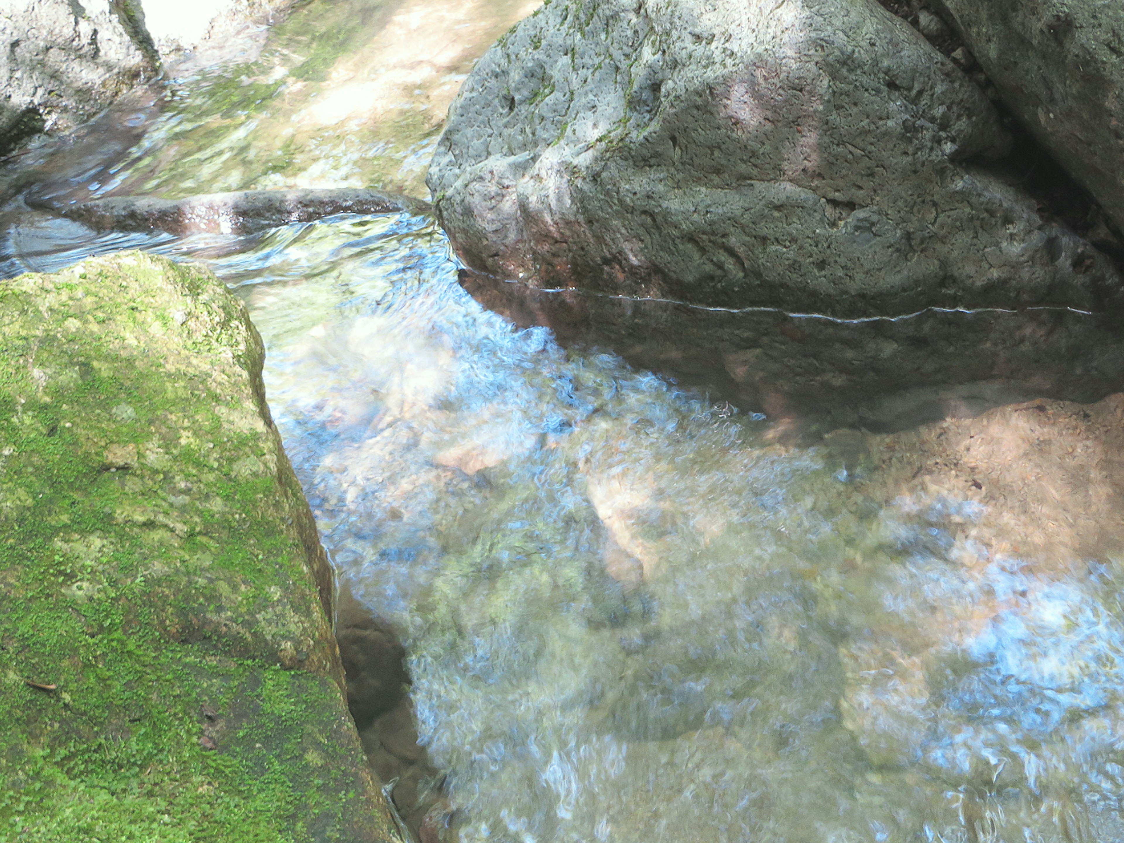 Agua clara fluyendo entre musgo verde y rocas