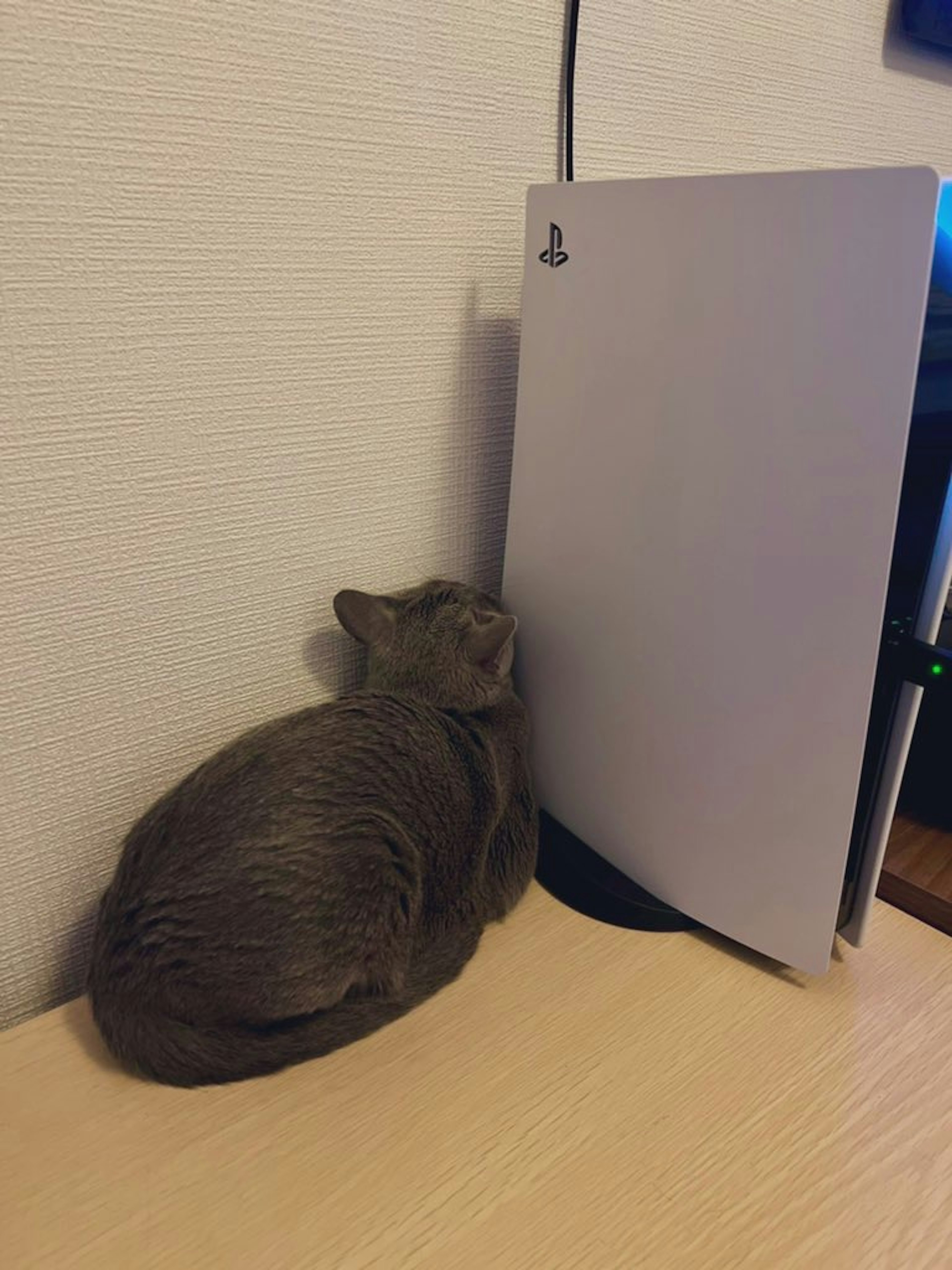 Un gato acurrucado junto a una consola de videojuegos