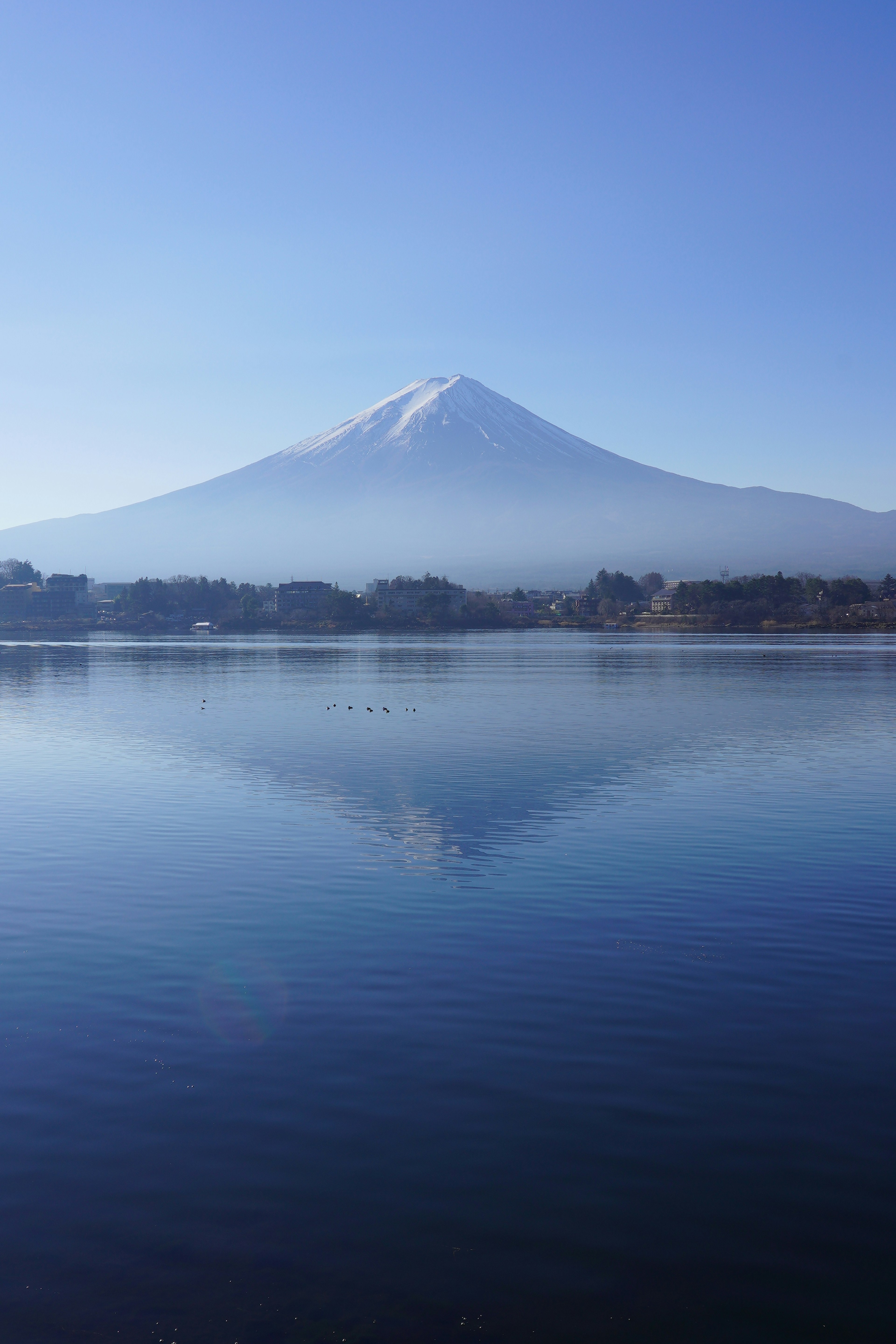 富士山の美しい景色と湖の反射