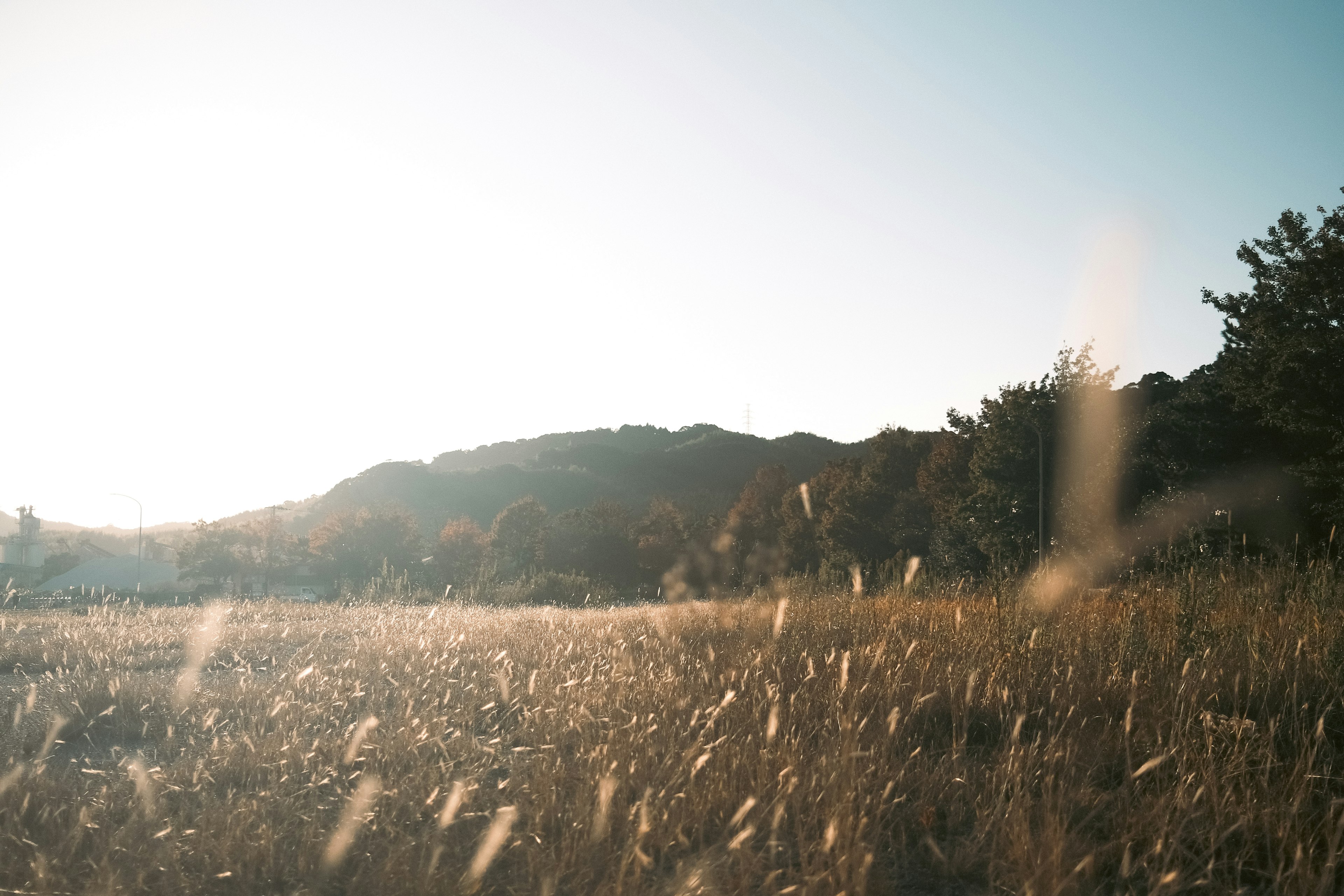 Serene landscape of a grass field and mountains illuminated by the sunset