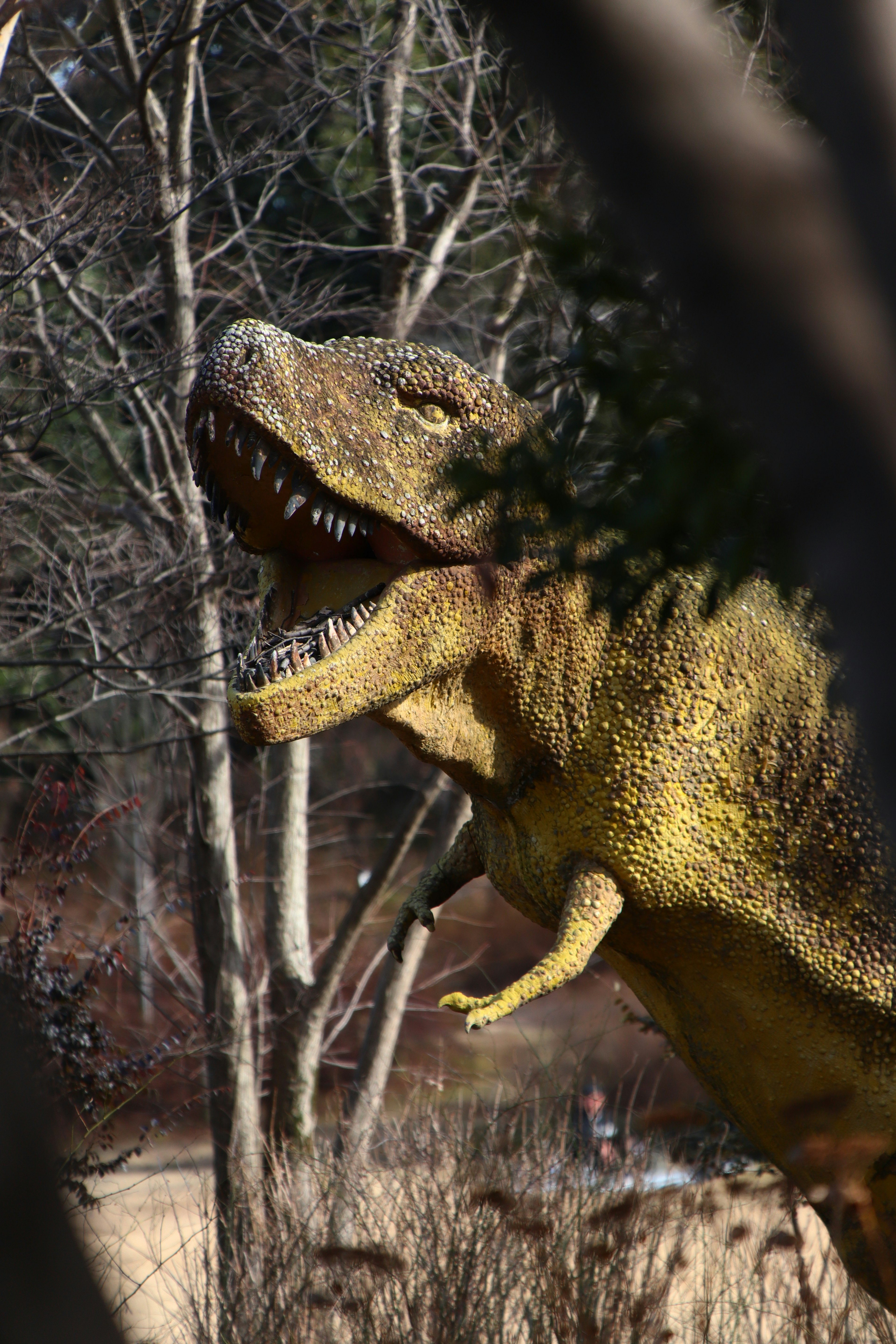 A dinosaur model of a Tyrannosaurus rex visible among trees