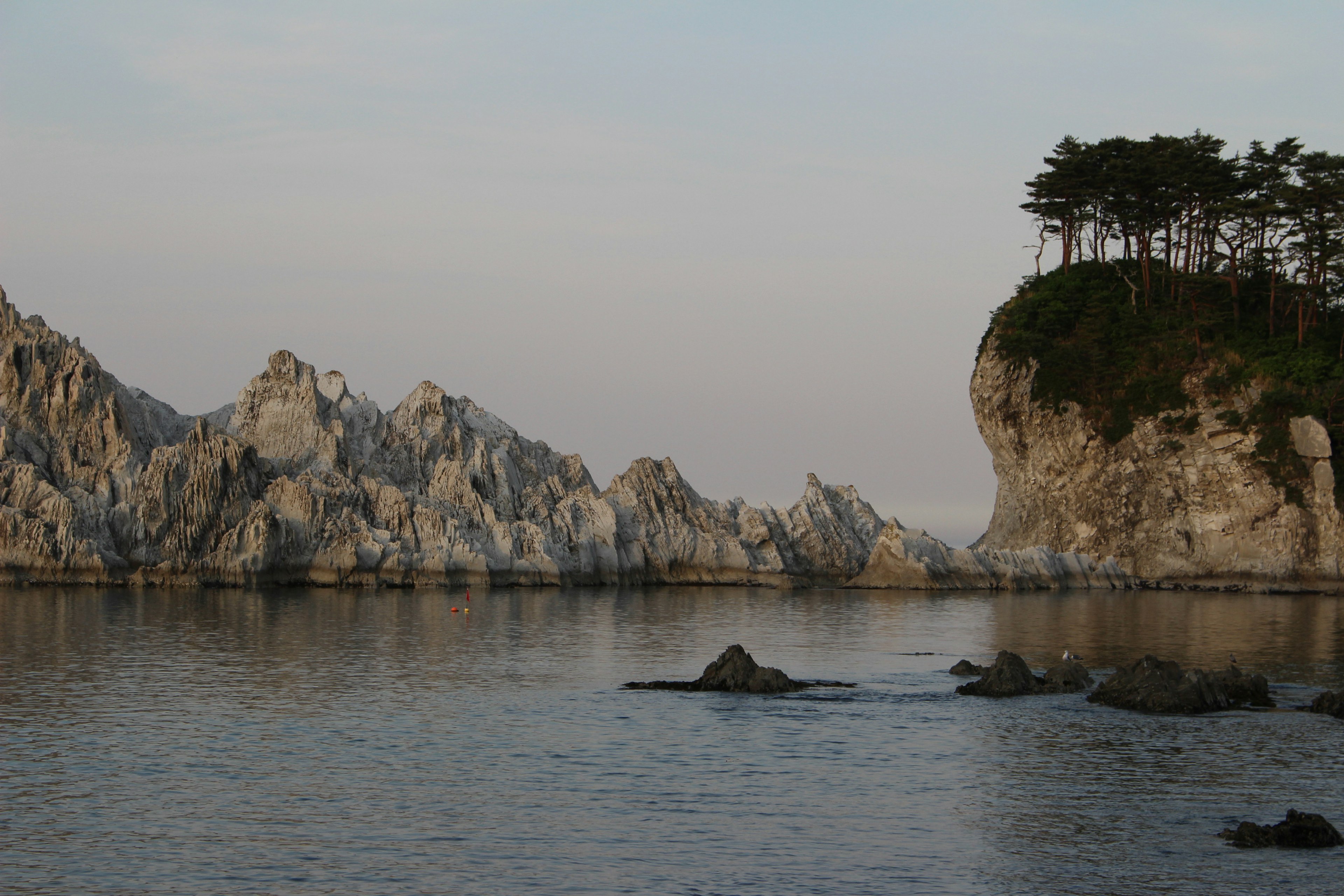 静かな海に浮かぶ岩山と松の木が生えた島の景色