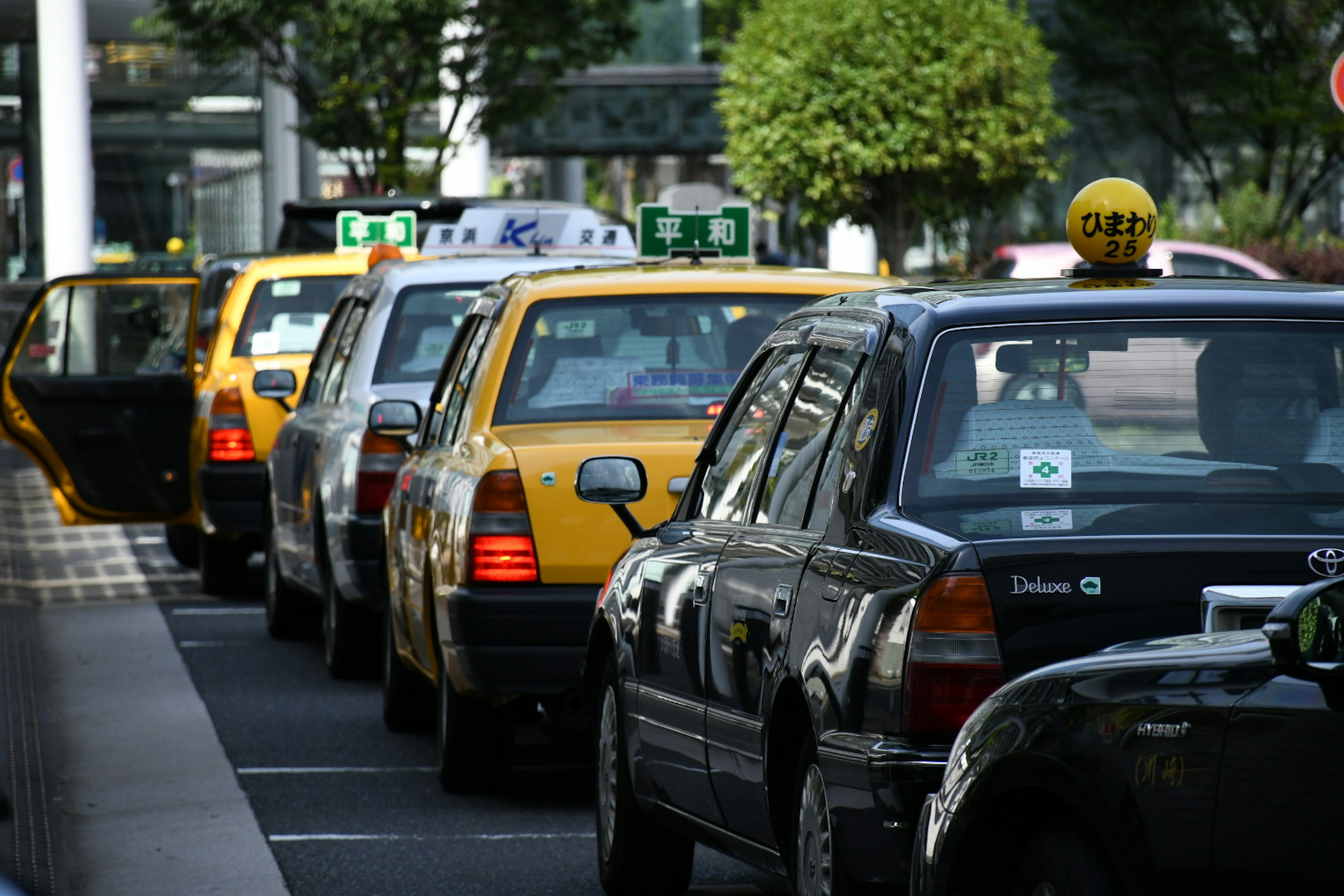 A row of parked taxis in an urban setting