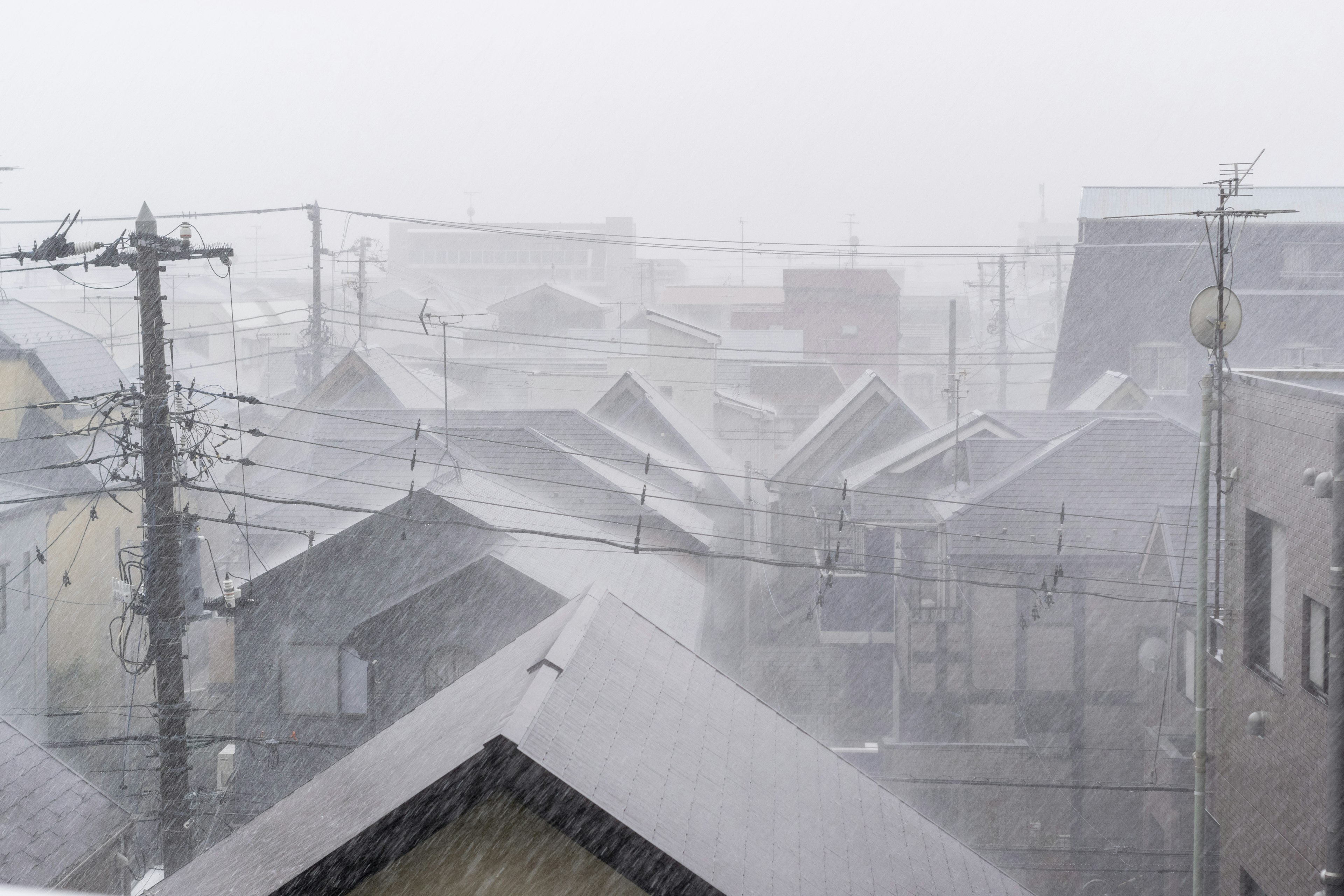 雪景城市景观，有房屋和电线