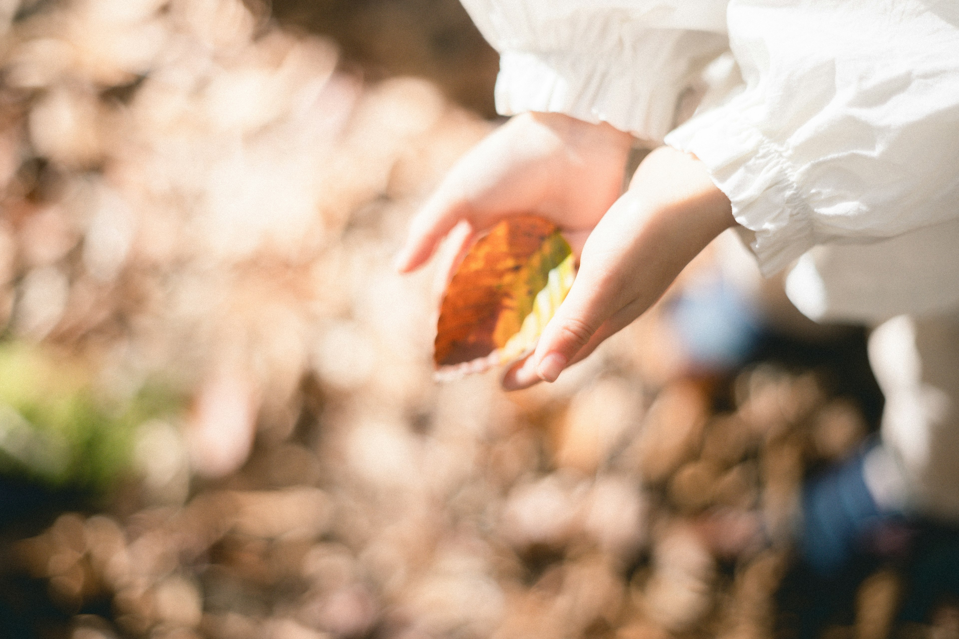 Manos de niño sosteniendo una hermosa hoja de otoño