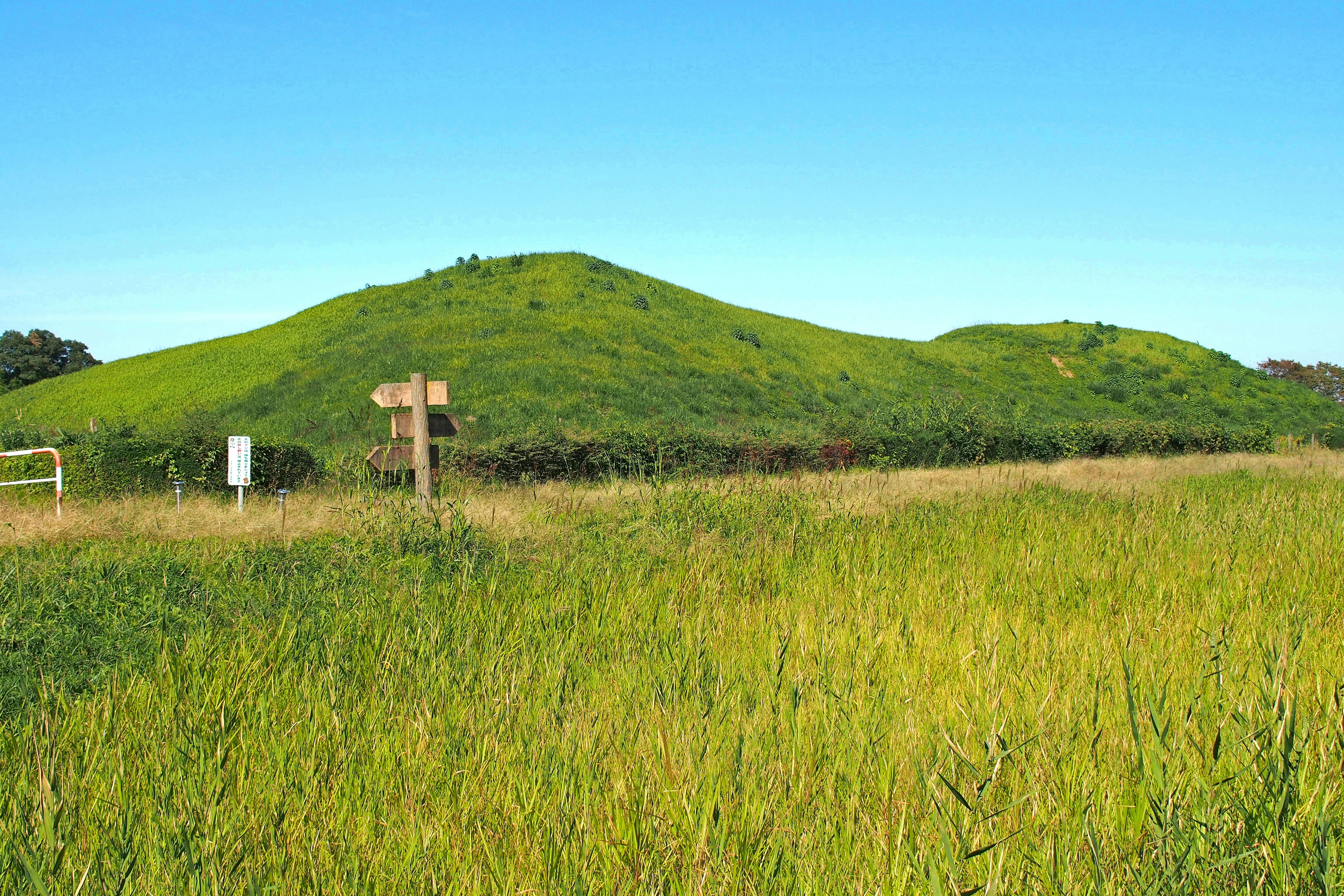 Bukit hijau subur dengan papan kayu di ladang berumput