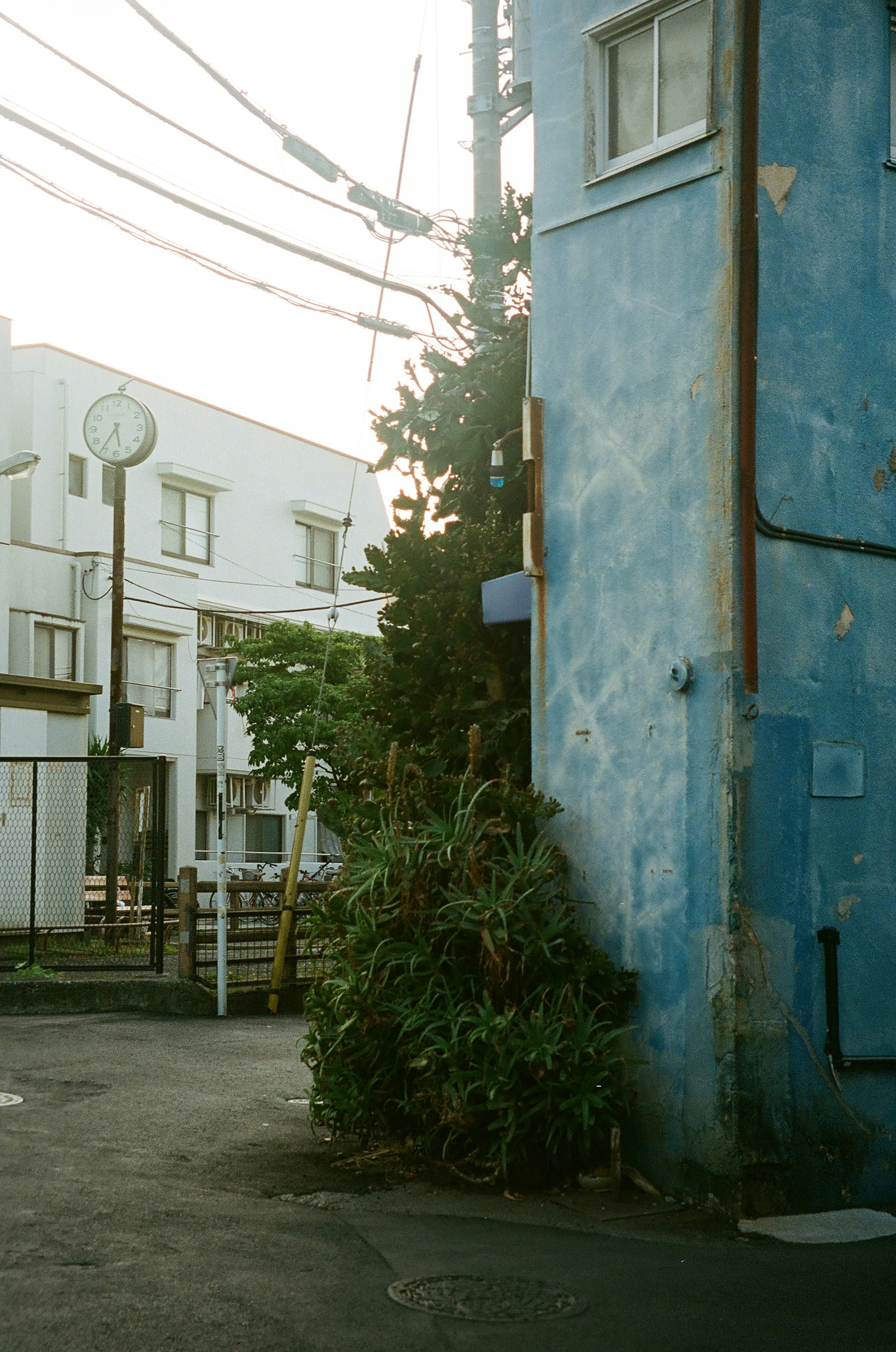 Una scena di strada tranquilla con un edificio blu e piante verdi