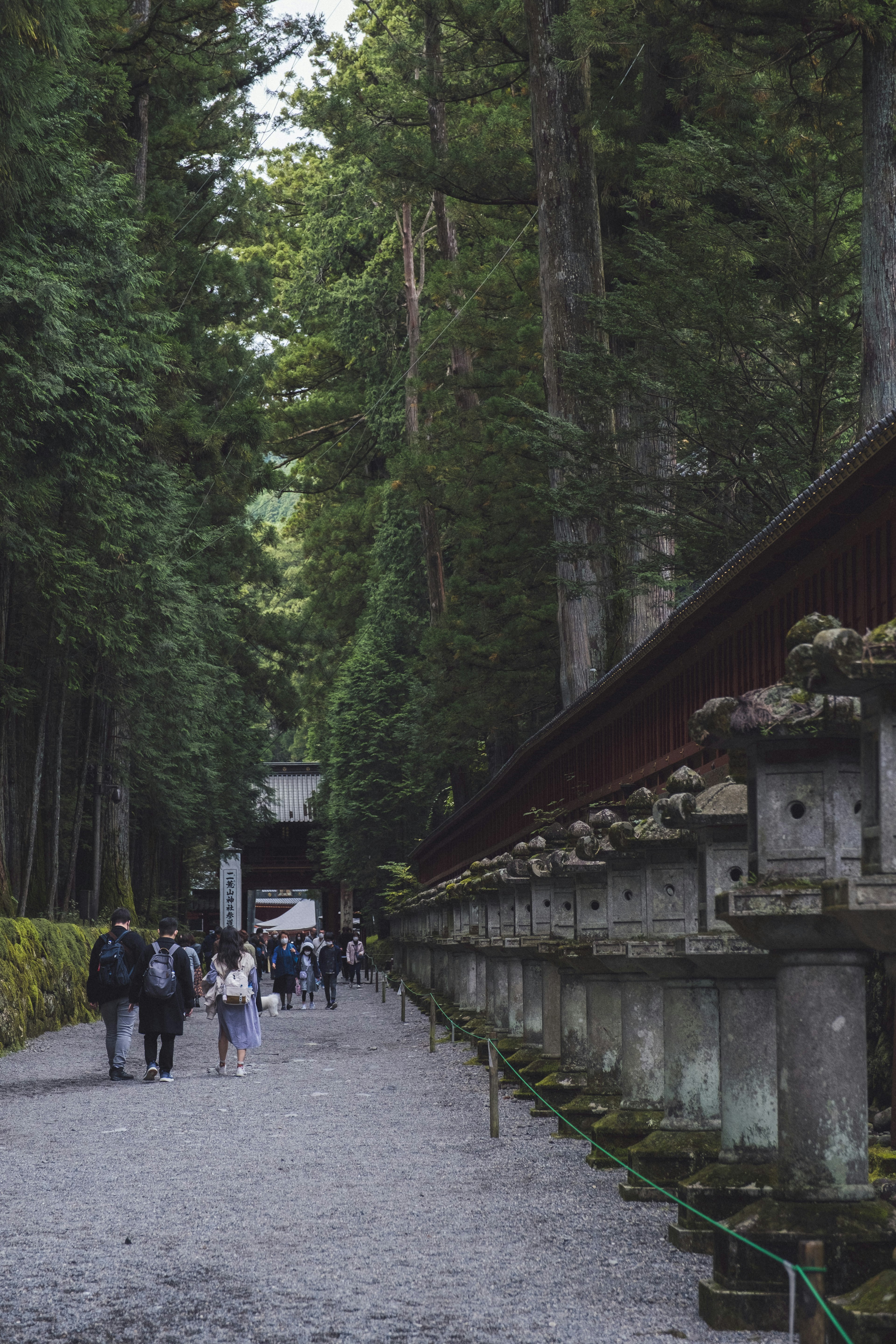 緑豊かな森の中の参道を歩く人々と石の墓石