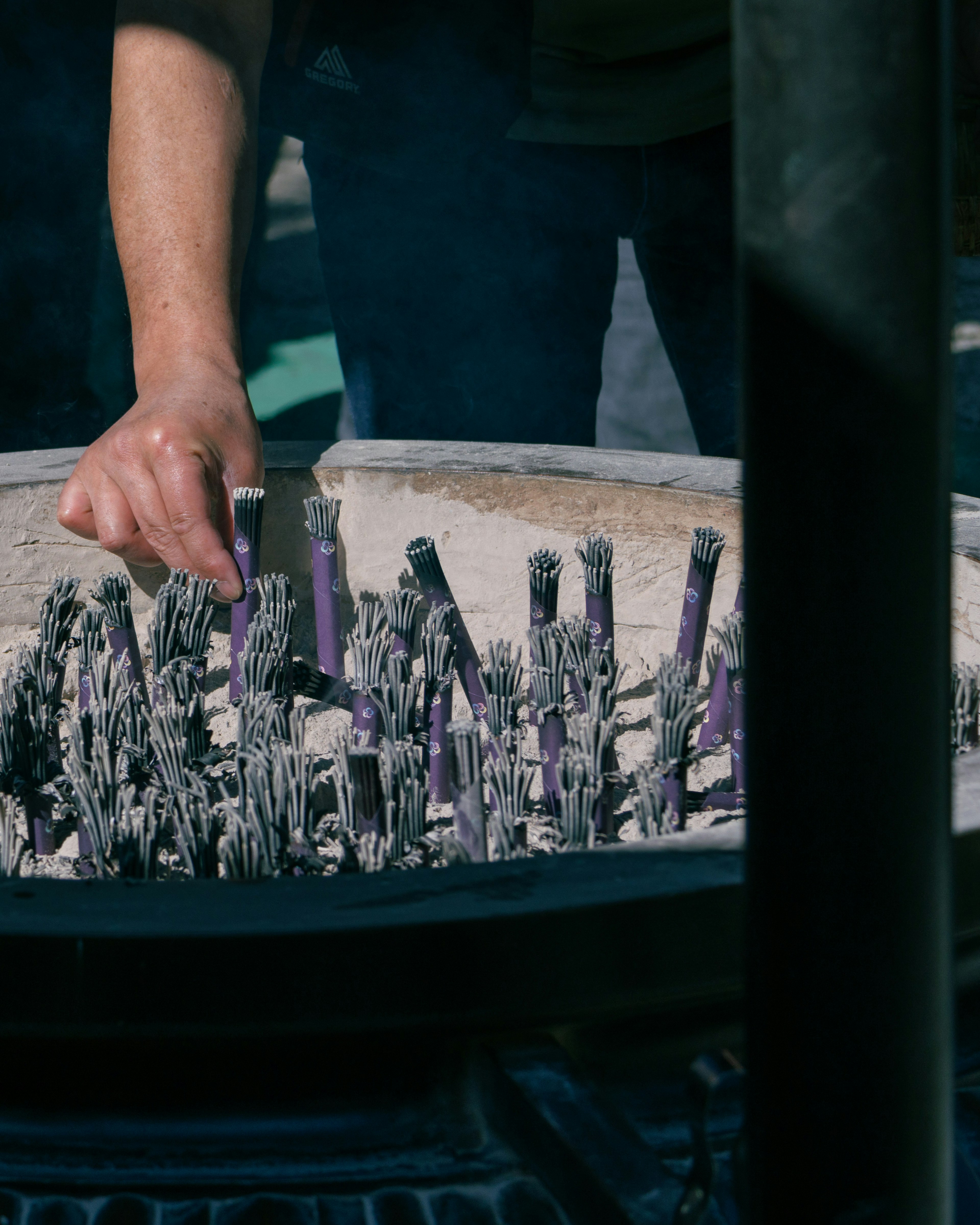 Hand handling purple asparagus in ashes