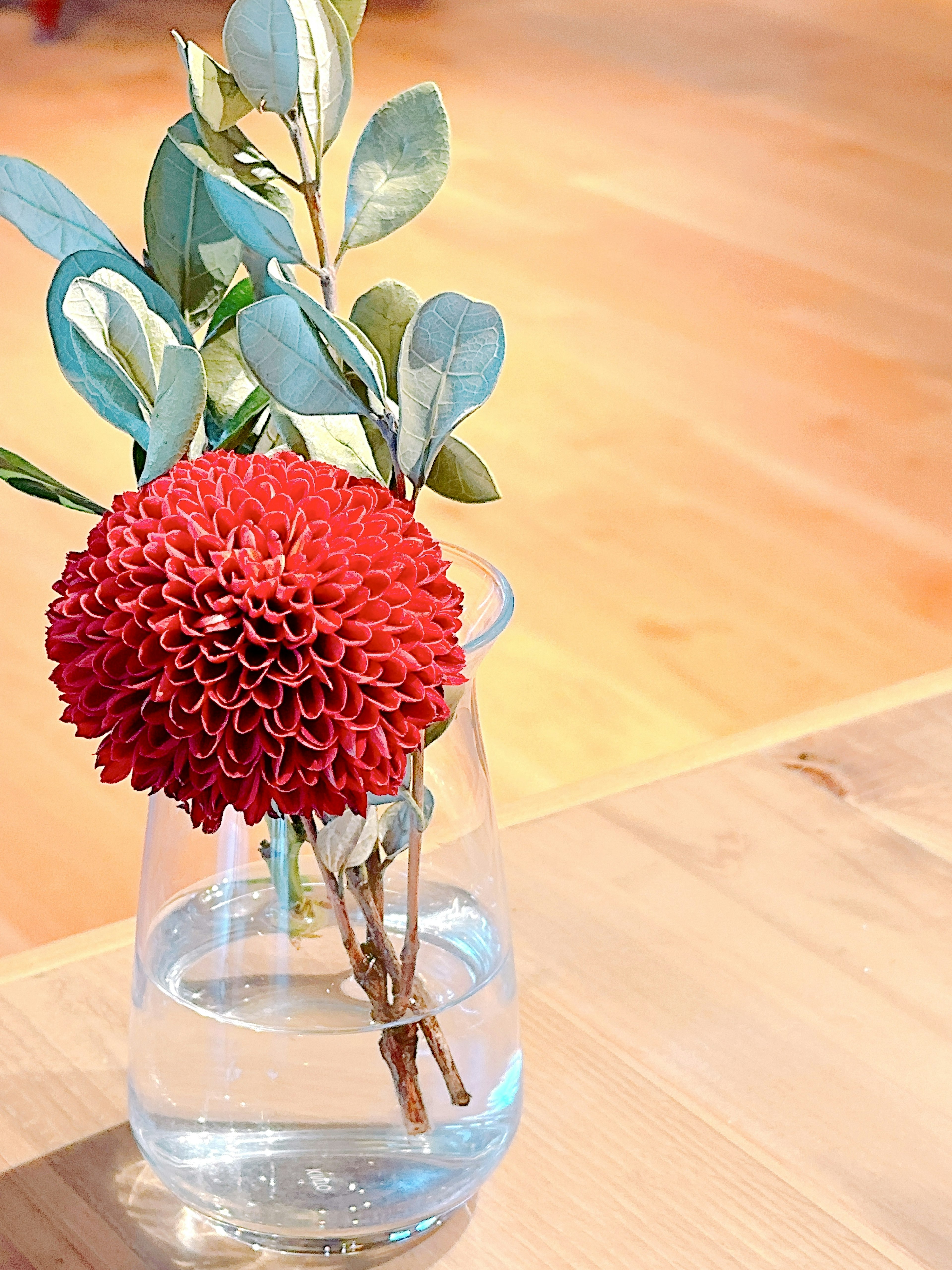 赤い花と緑の葉を持つガラスの花瓶