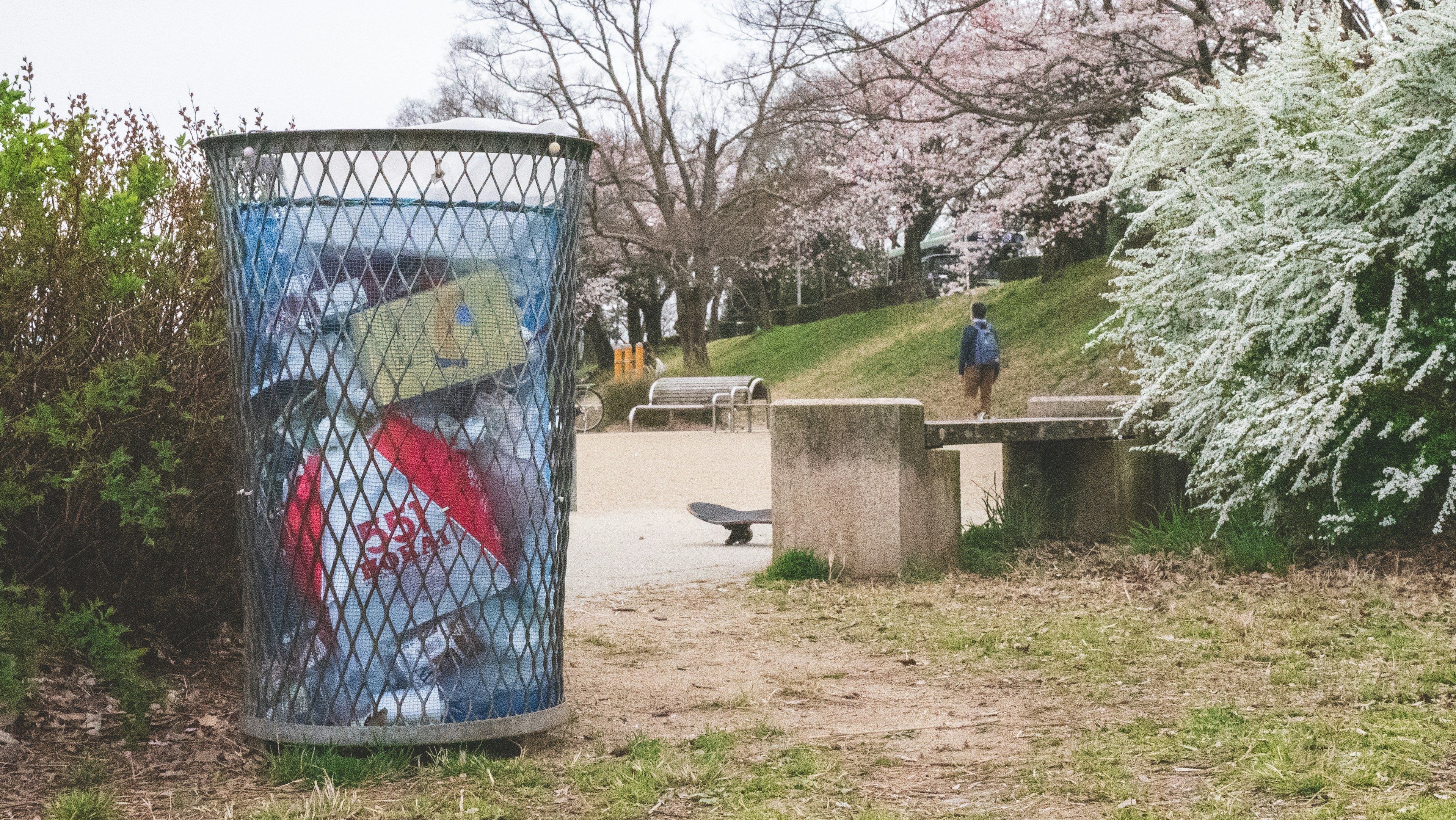 Mülltonne in einem Park voller Abfall und umgeben von Kirschblütenbäumen