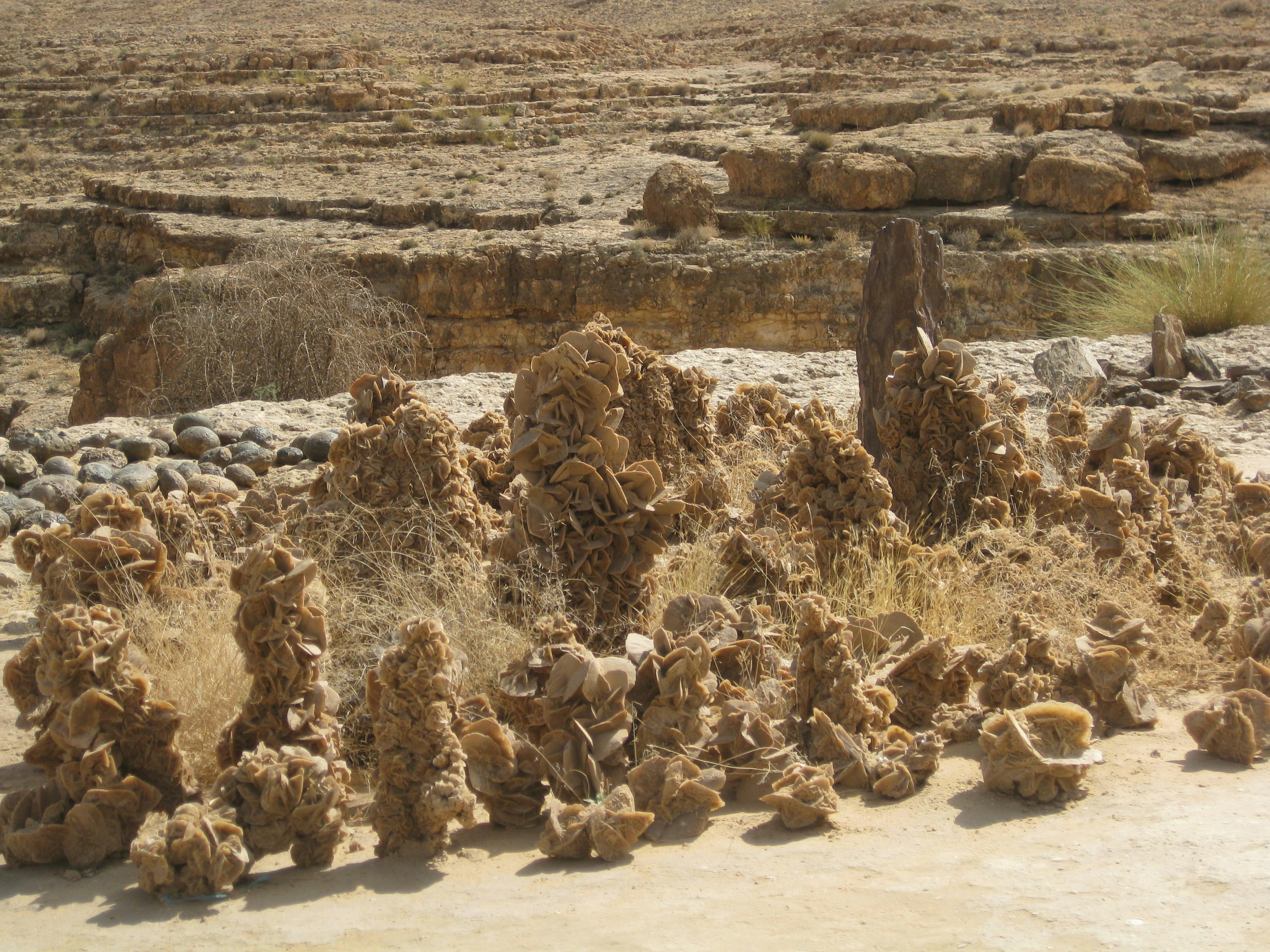 Cluster of unusual rock formations created in a saline environment