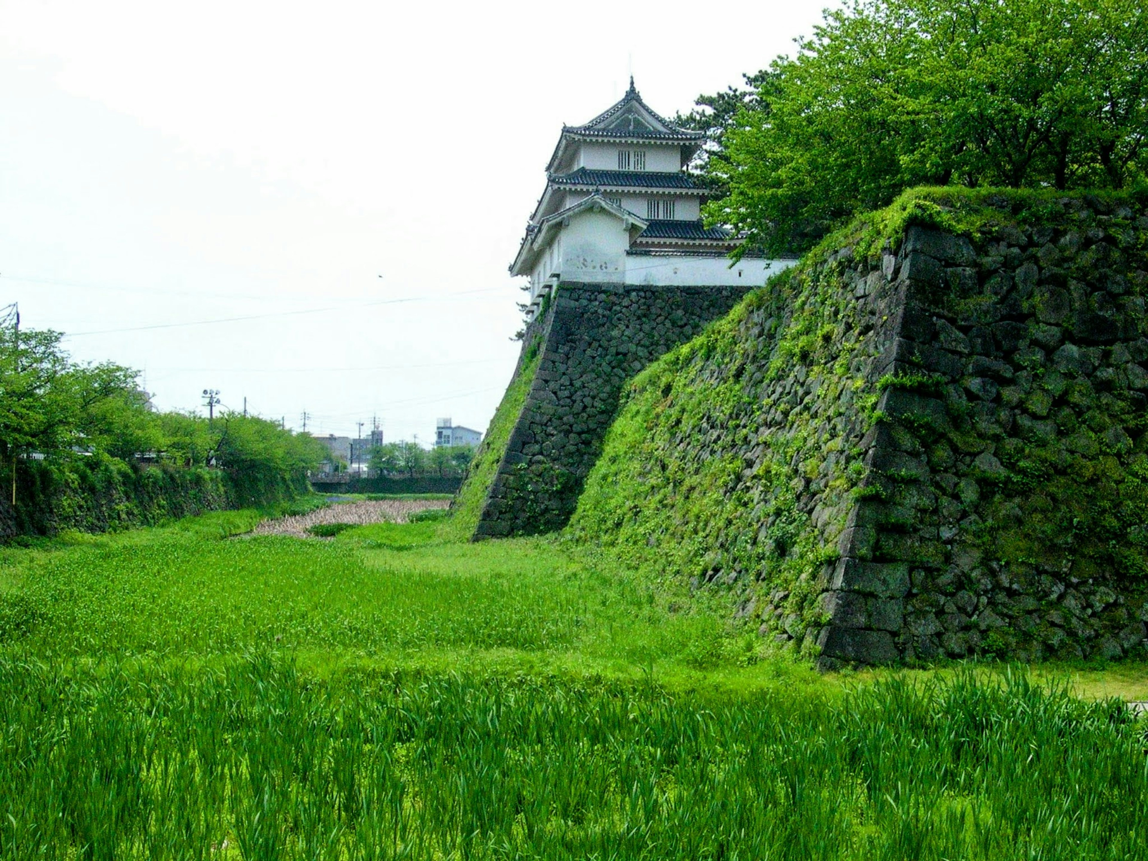 Mit Grün bedeckte Burgmauern mit einem alten Turm in der Landschaft