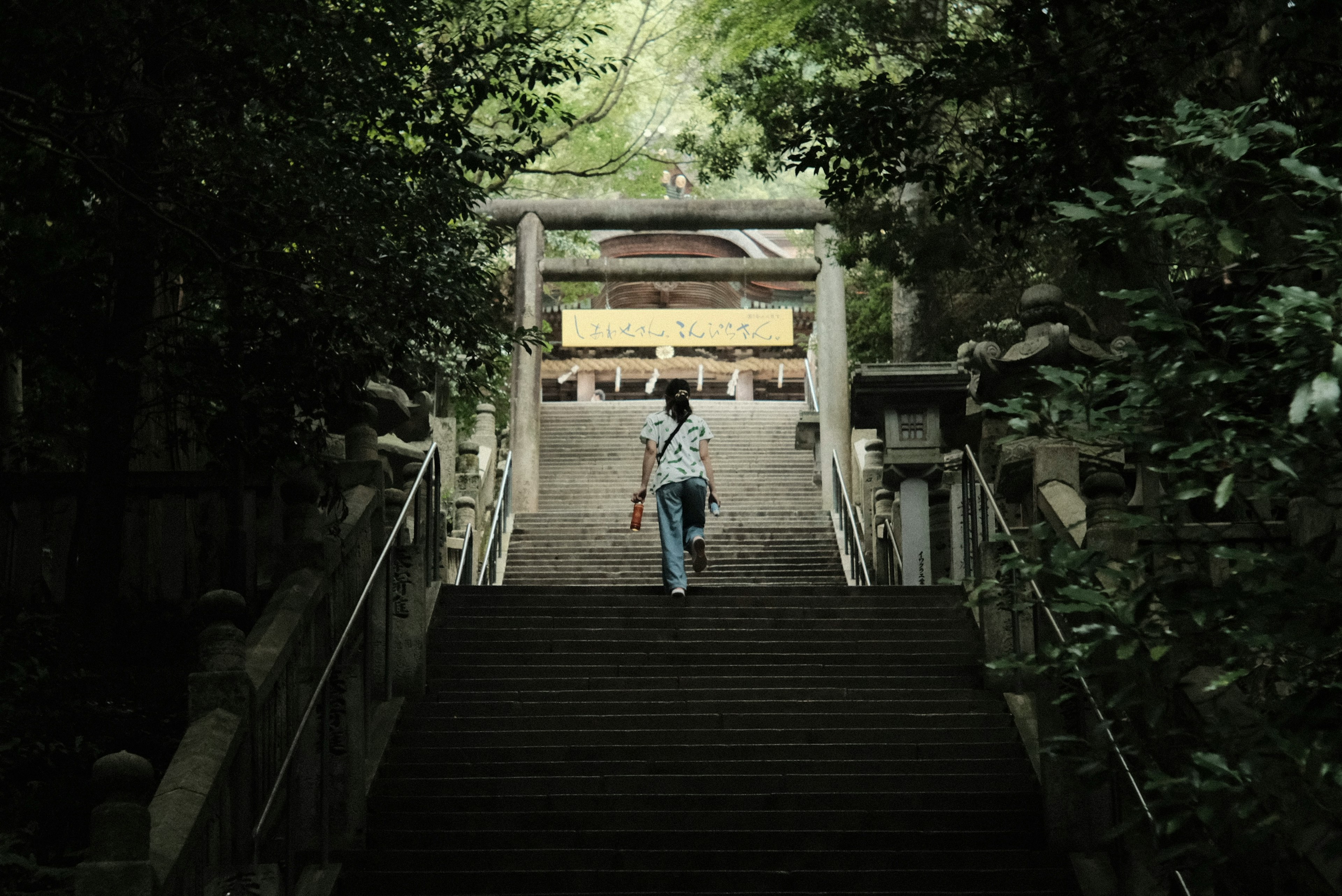 緑に囲まれた階段を上る人の後ろ姿と神社の鳥居