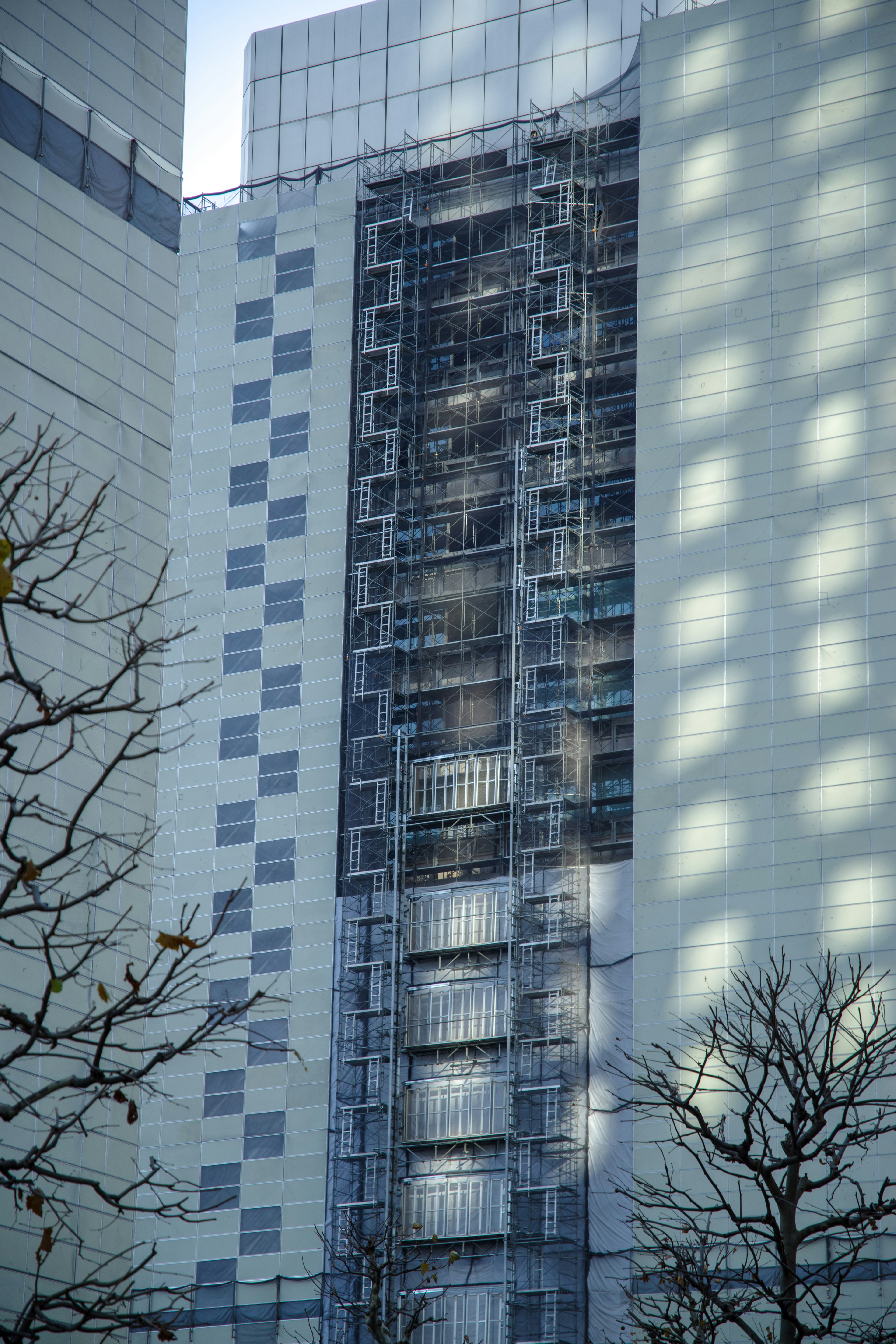 Modern building facade with scaffolding and tree branches