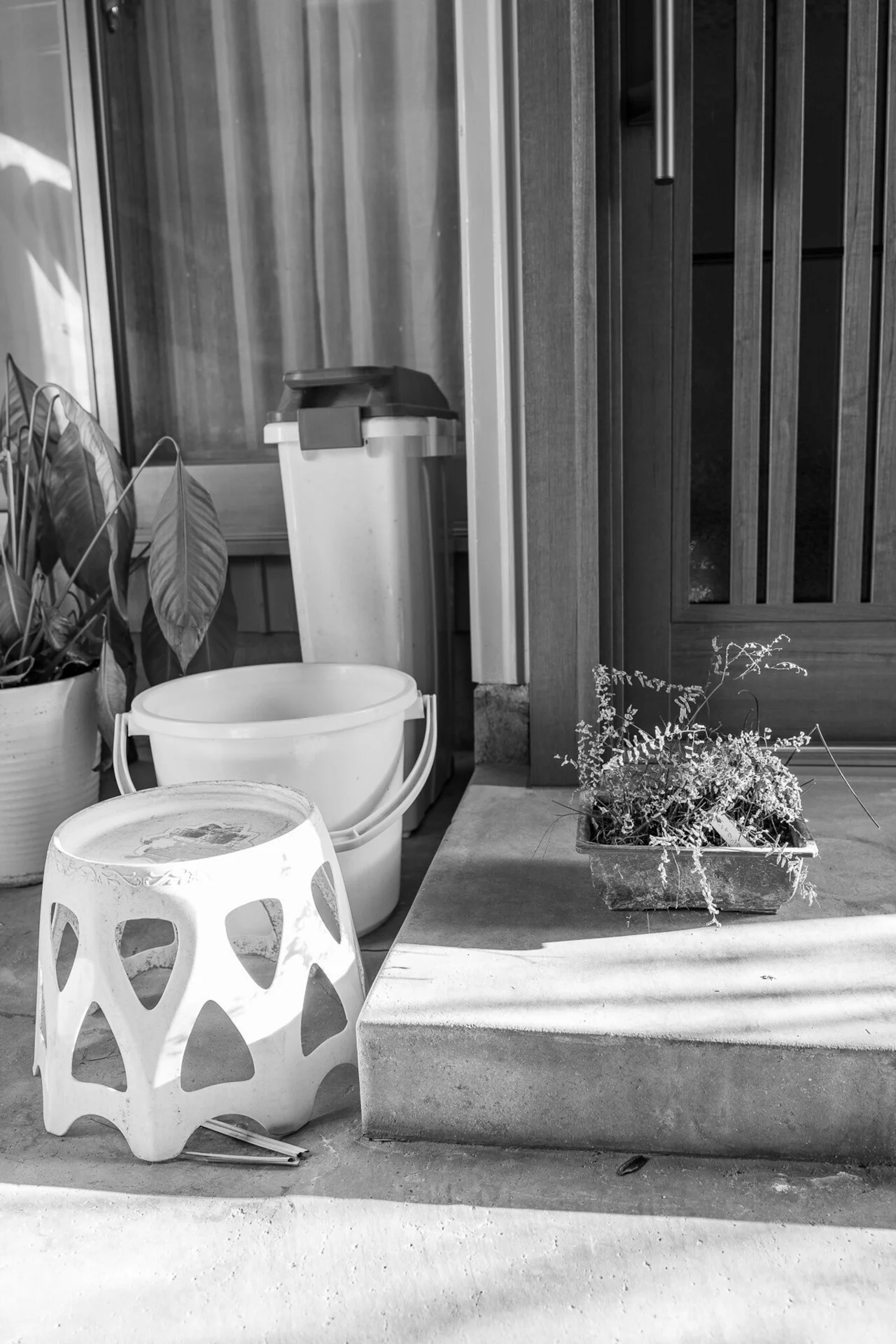 Imagen en blanco y negro con un taburete de plástico y un cubo frente a una puerta con una planta