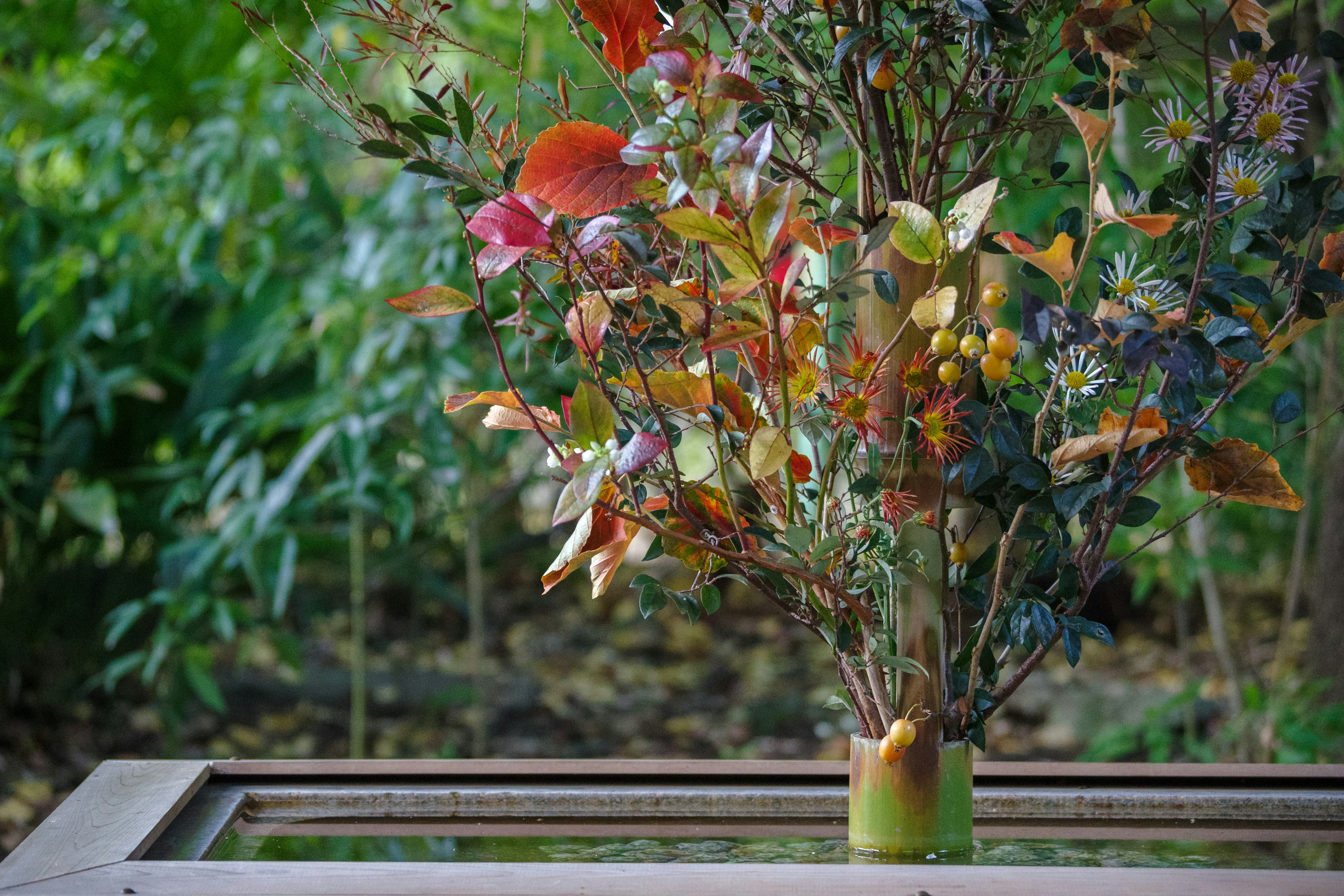 Un vase avec des feuilles et des fleurs colorées placé sur un fond vert