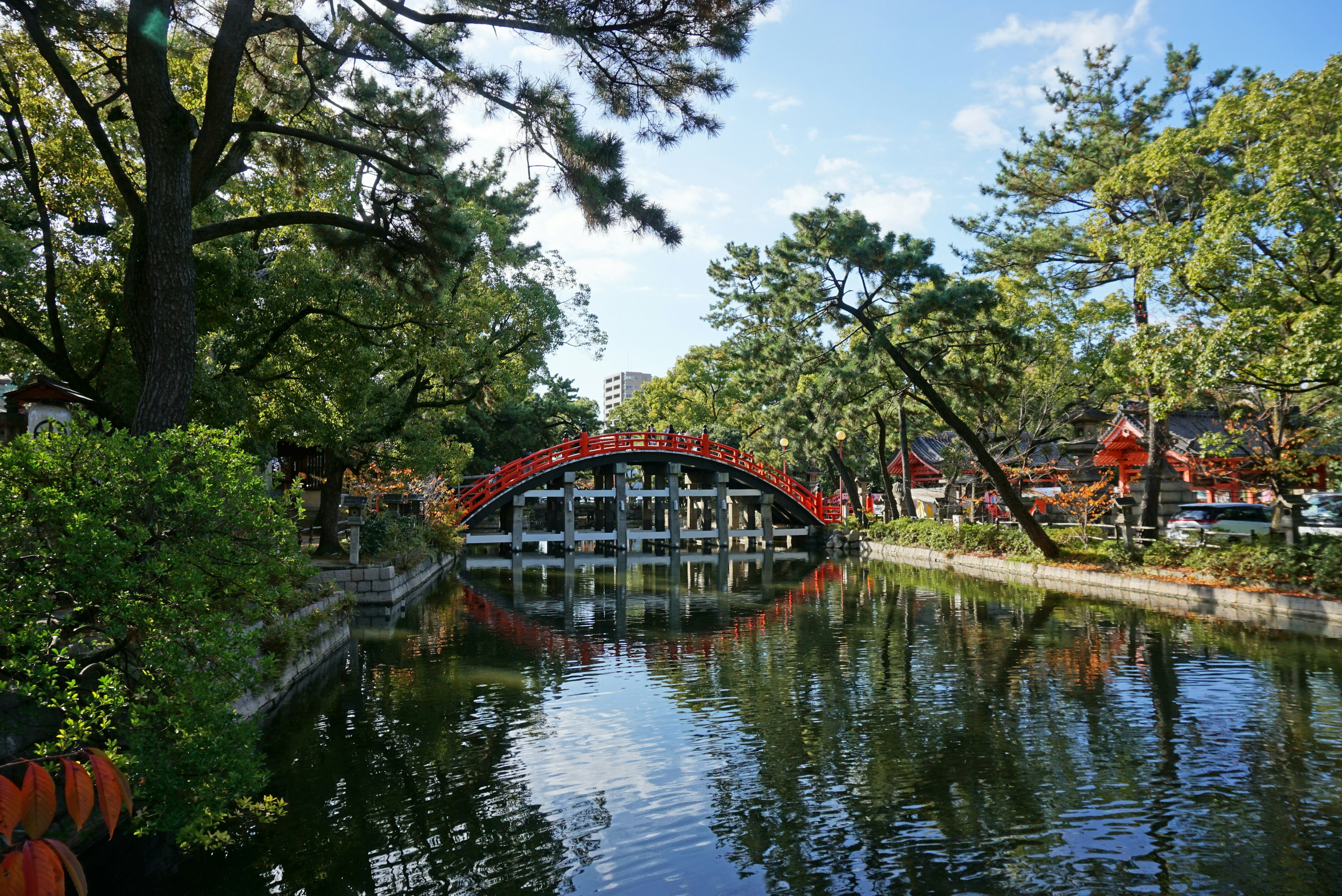 宁静池塘上的红桥景观，周围环绕着绿色植物