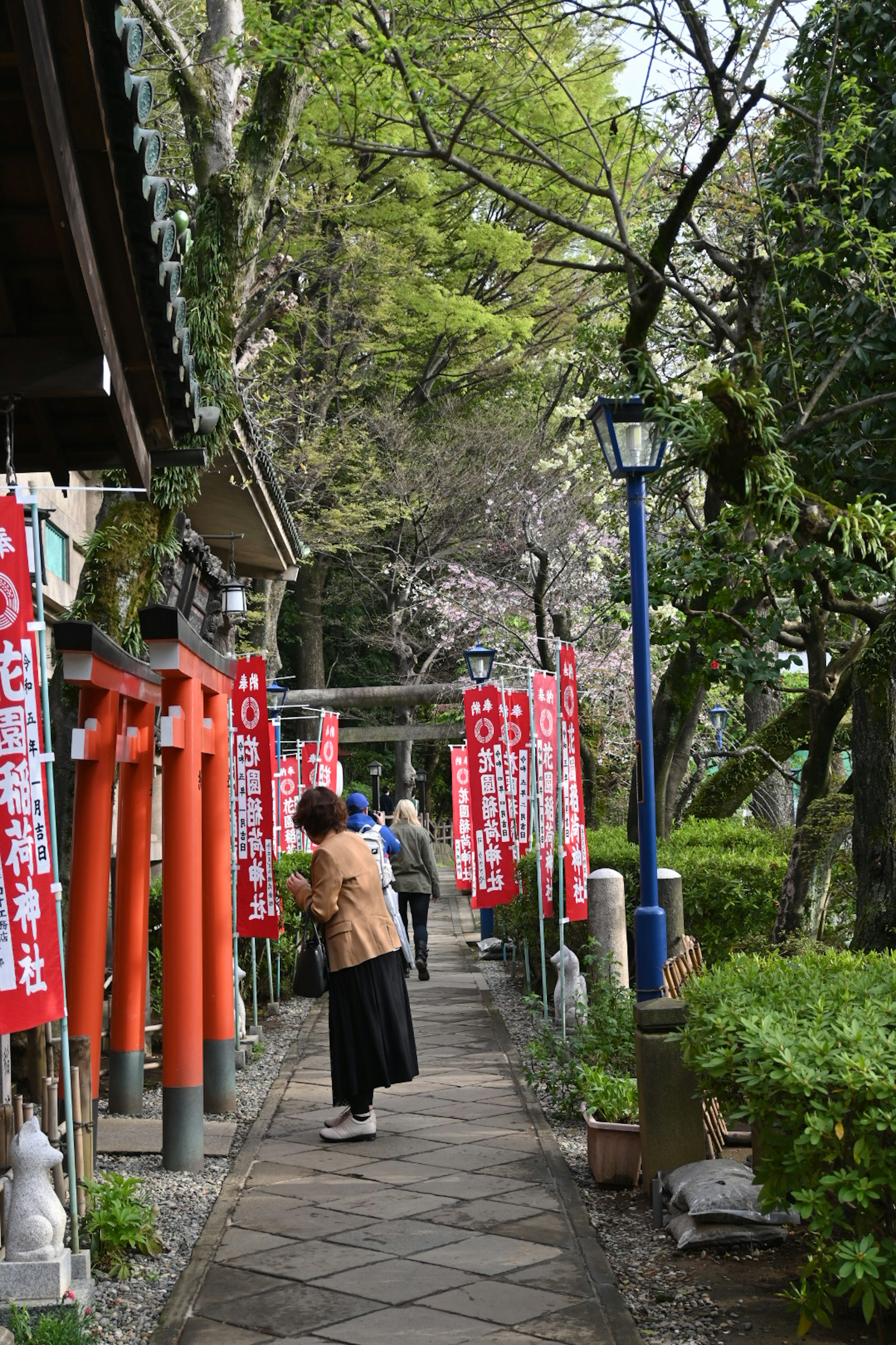 赤い鳥居と緑の木々が並ぶ道を歩く女性