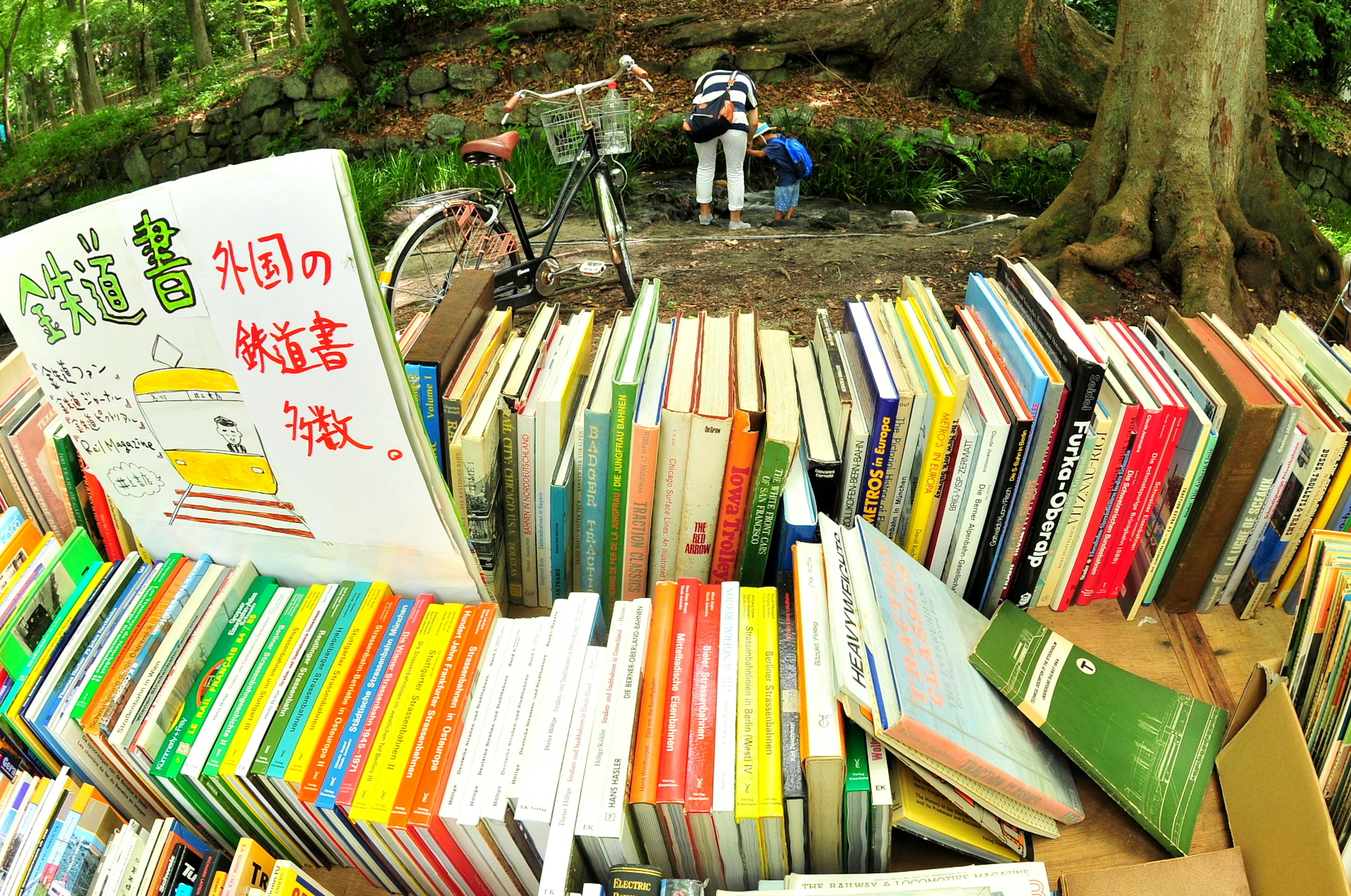 A scene of stacked books in a forest with a bicycle nearby