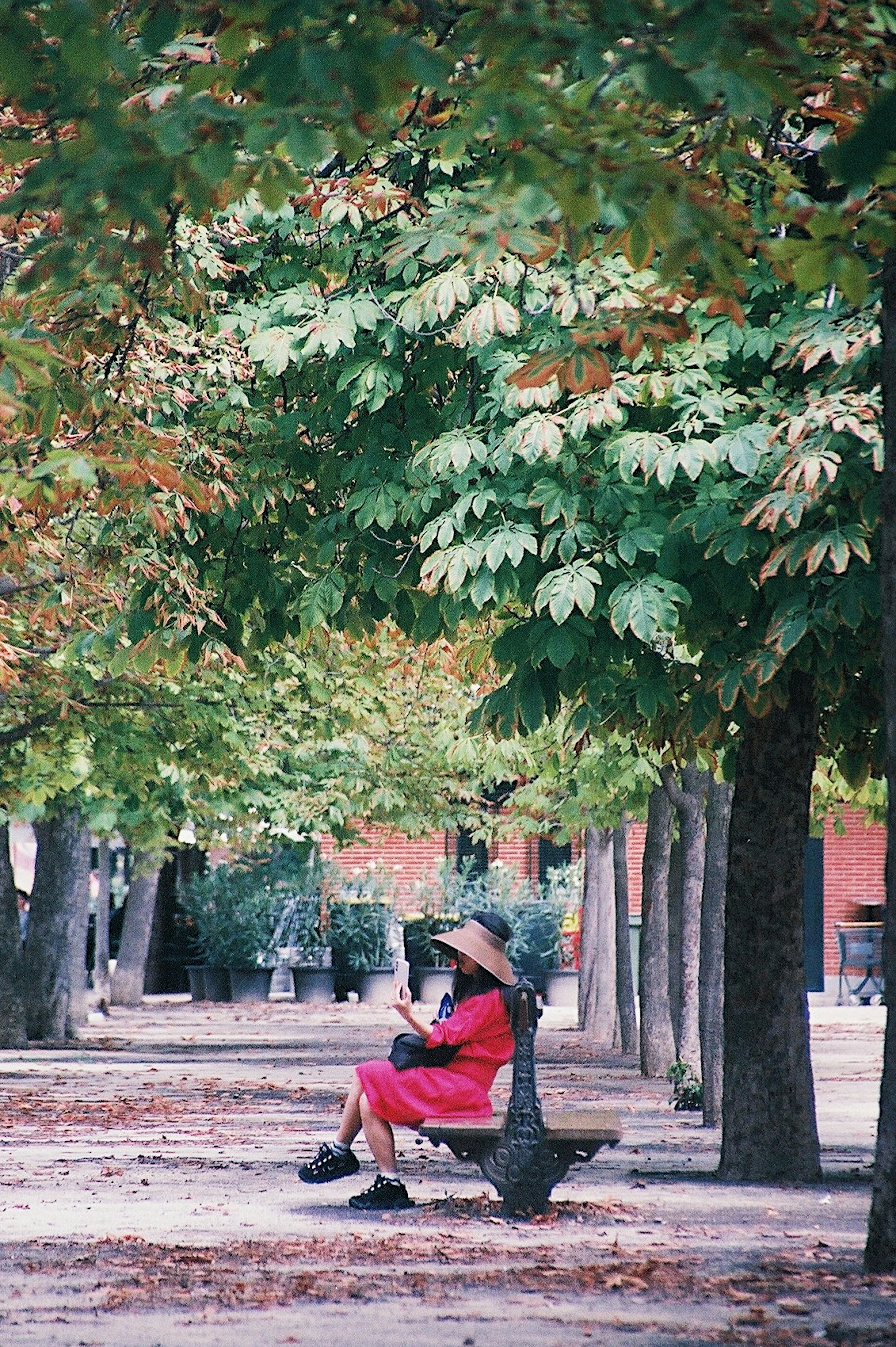 Enfant en rouge assis sur un banc entouré d'arbres verts et de feuilles tombées