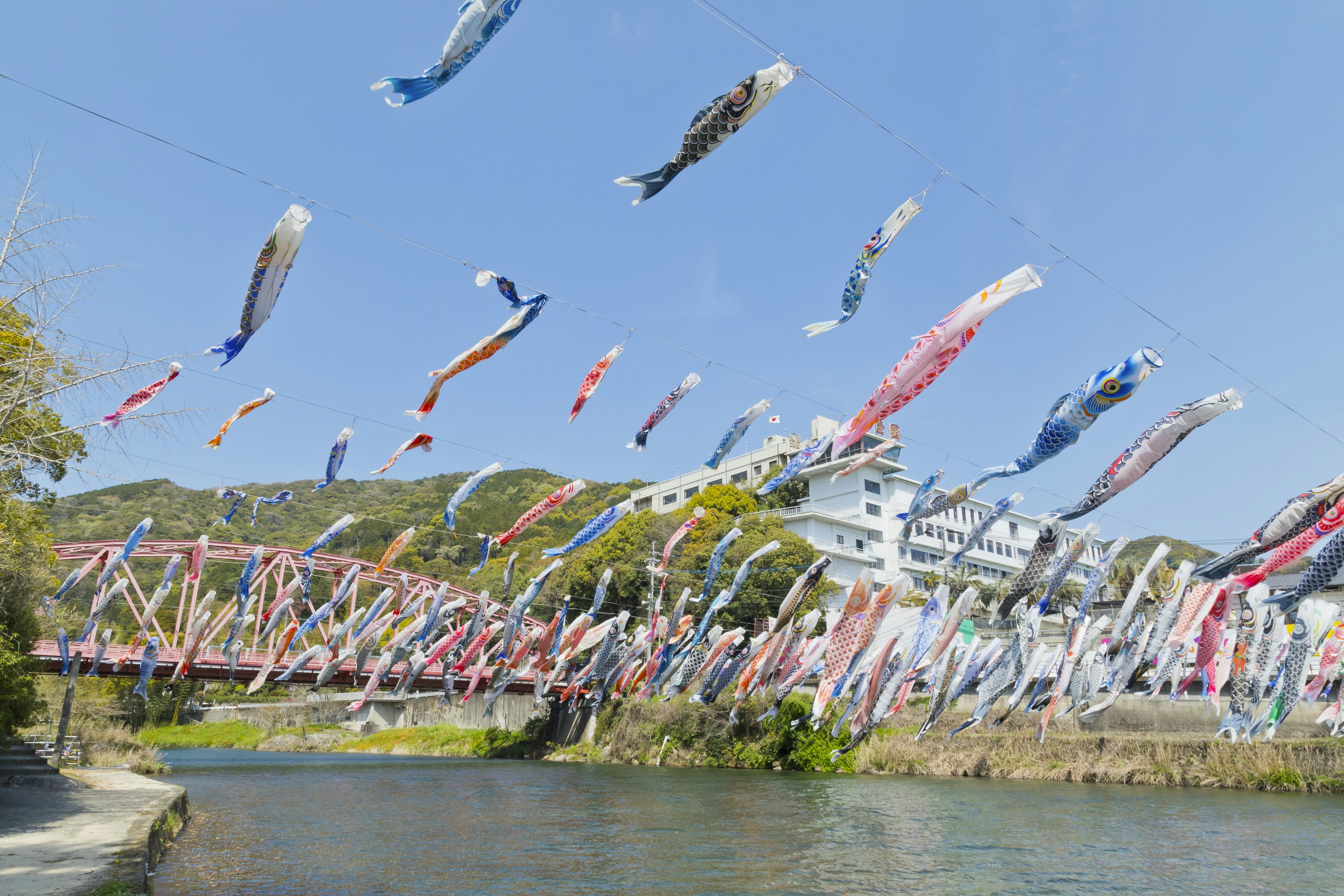 Koinobori flying over a river under a clear blue sky