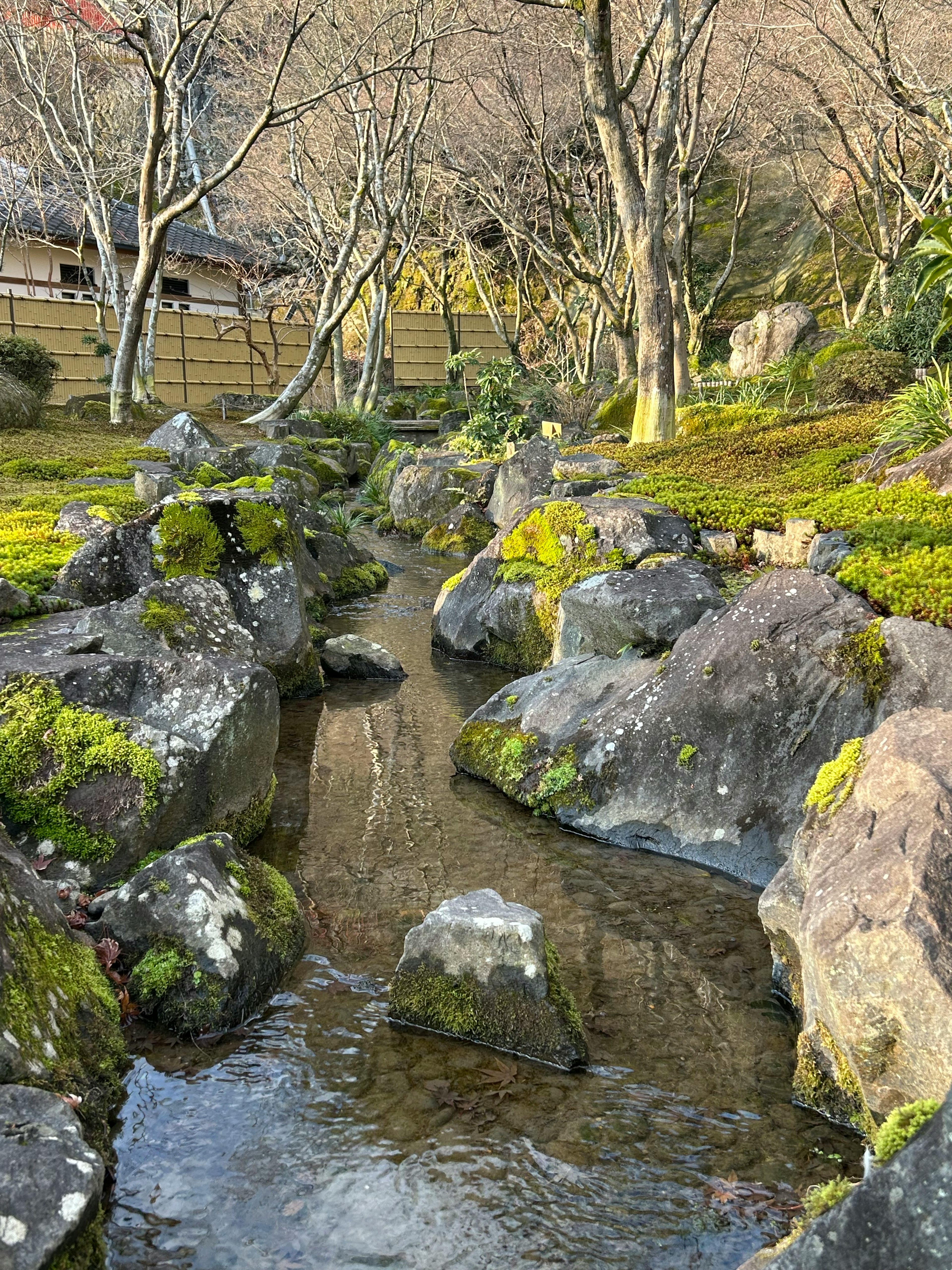 静かな庭園の小川と苔むした岩石が点在する風景