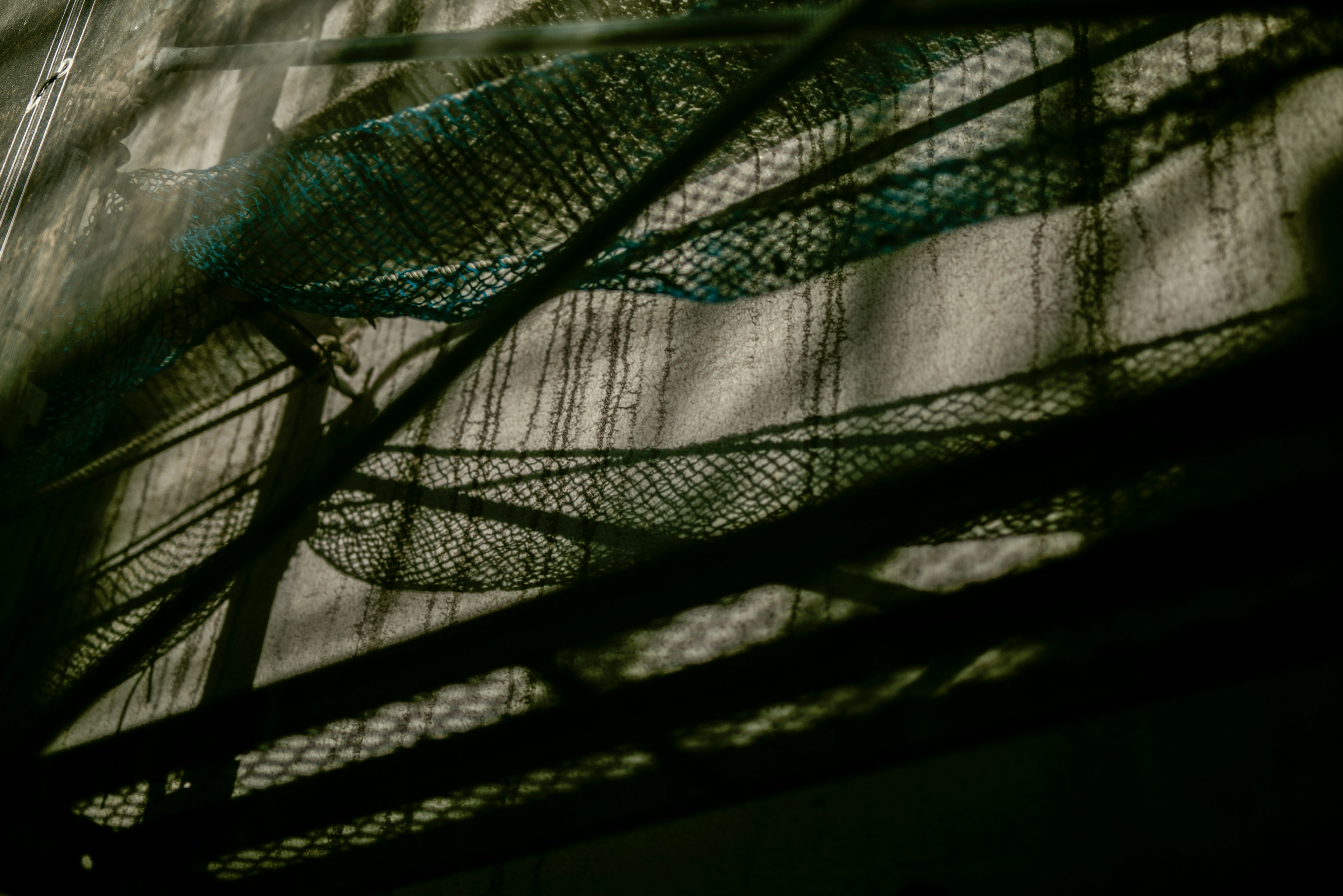 Shadows of netting creating intricate patterns