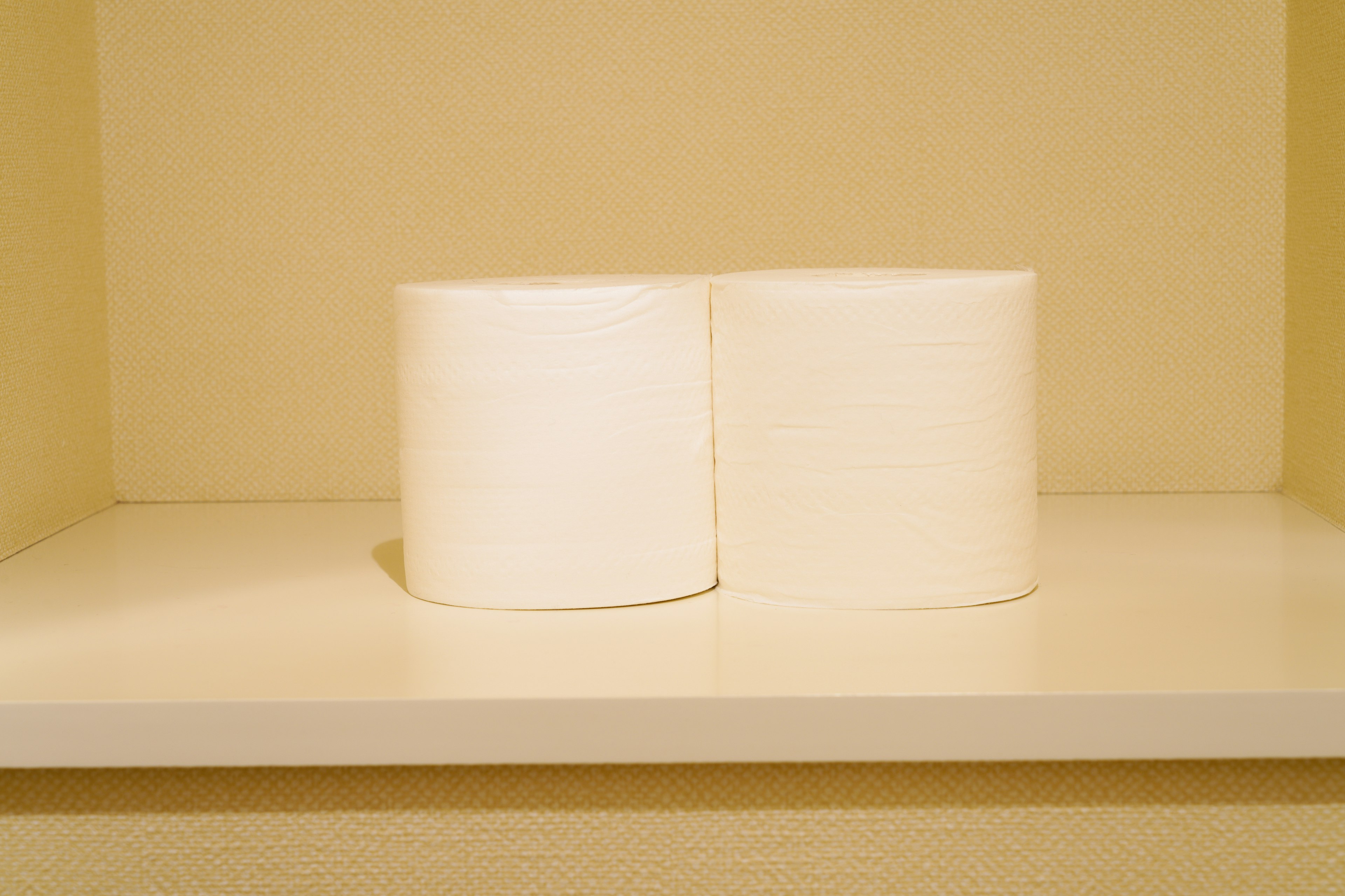 Two rolls of white toilet paper on a shelf against a plain background